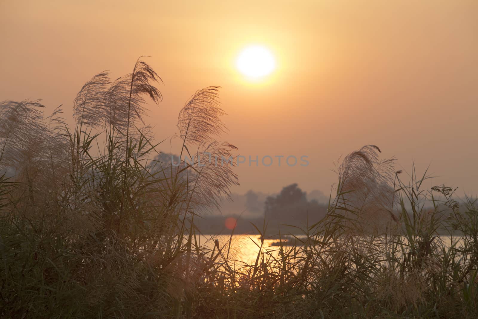 Meadow with the beautiful sunset on vacation.