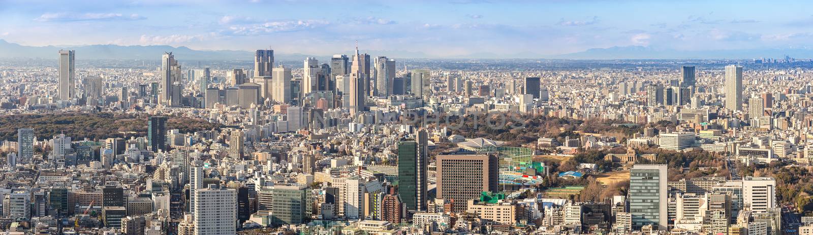 Tokyo Shinjuku skylines by vichie81