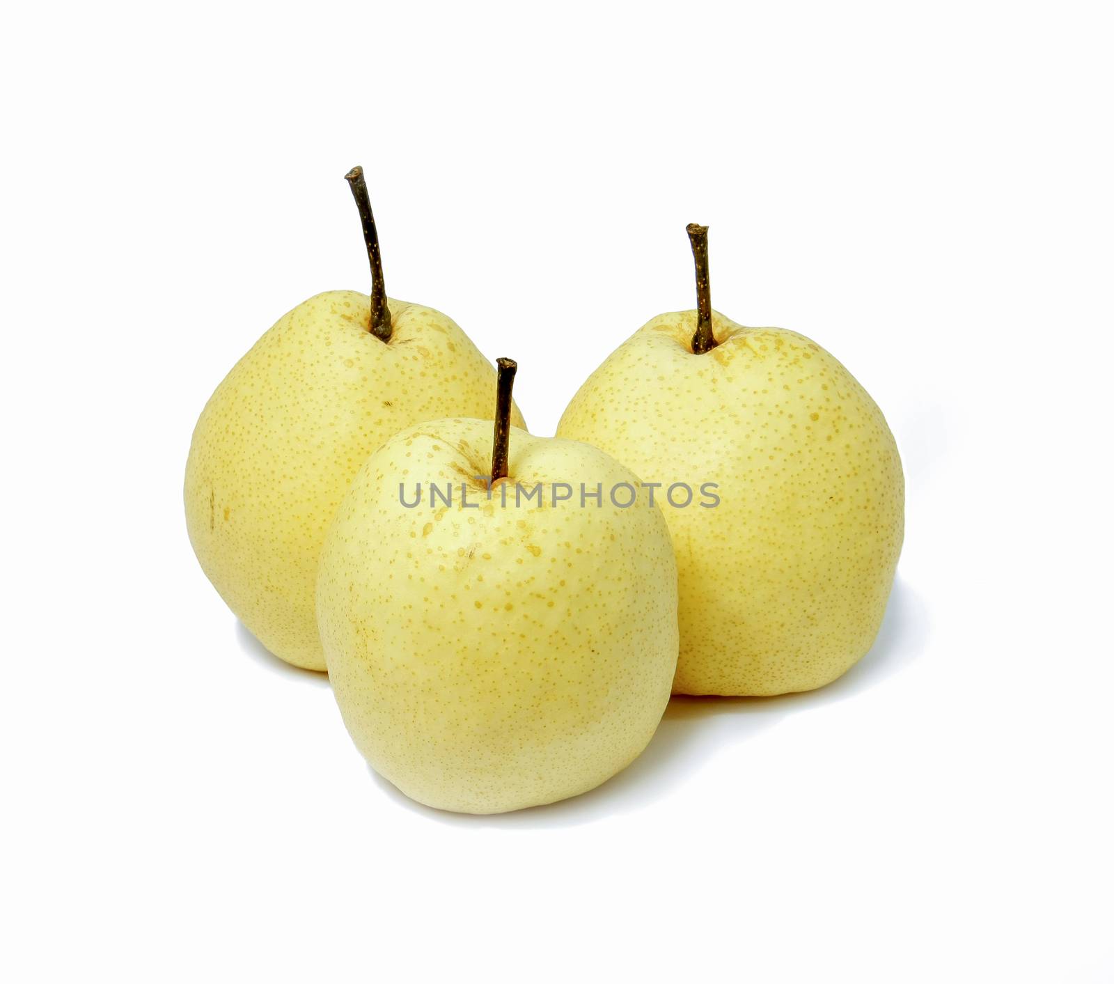 three white chinese pear fruits on white background