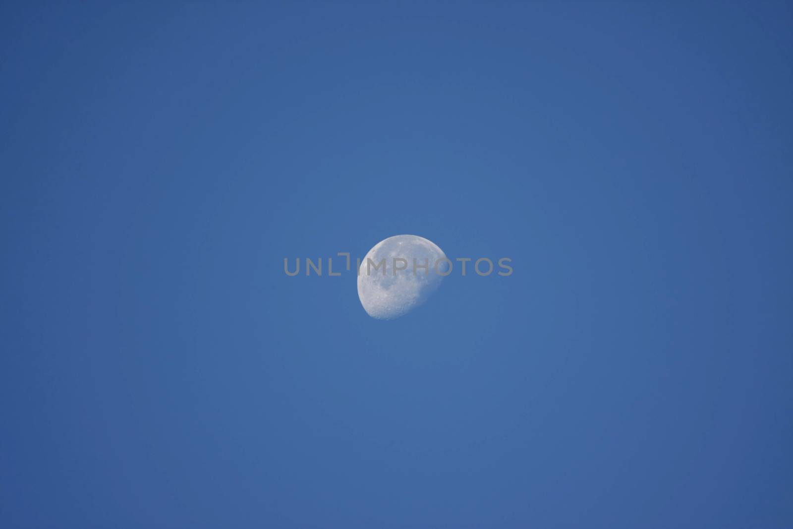 beautiful half moon on blue sky in morning day