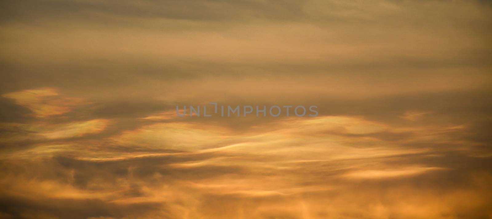 beautiful wave orange sky on sunset