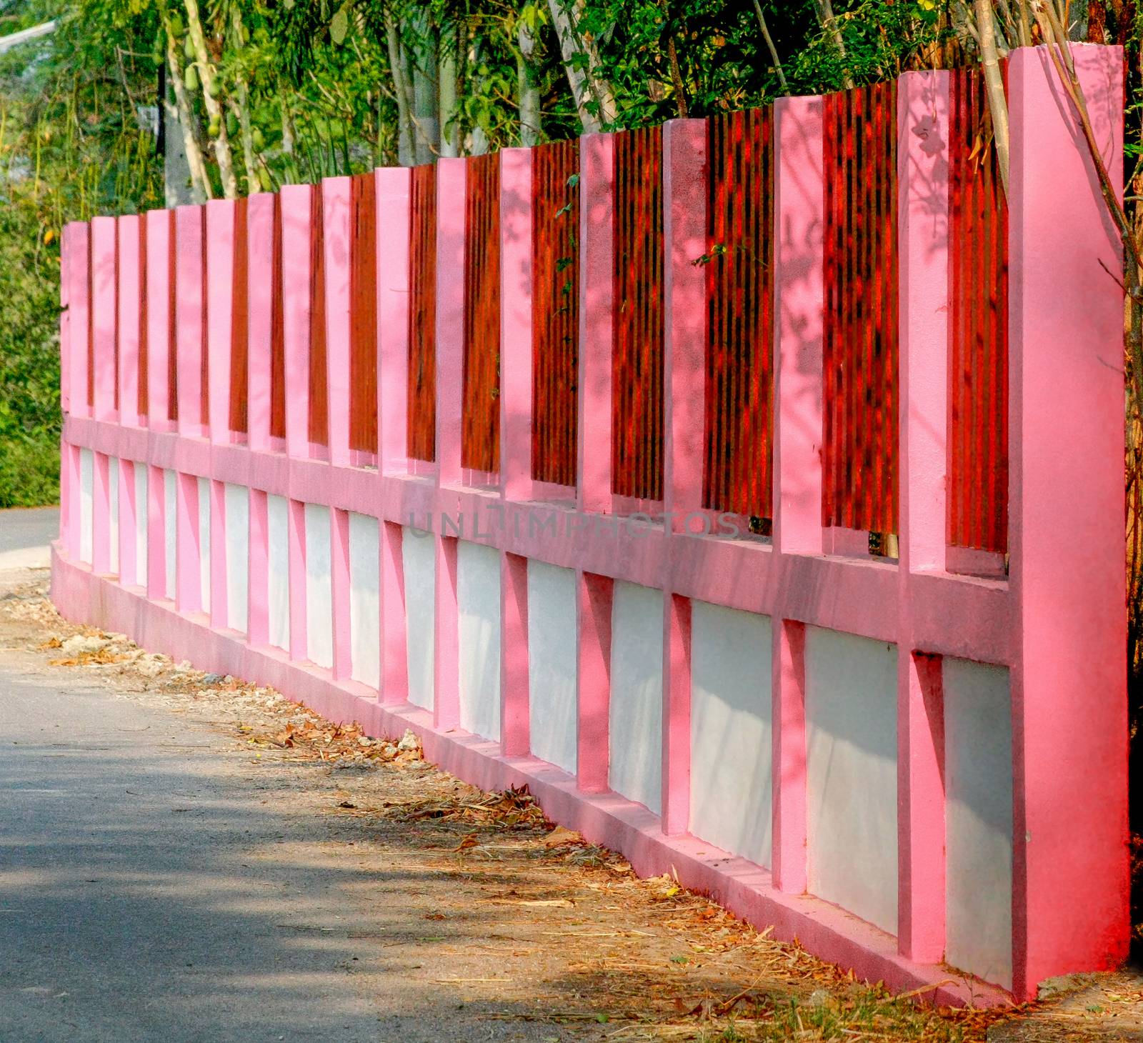 beautiful pink painting on cement wall  fence