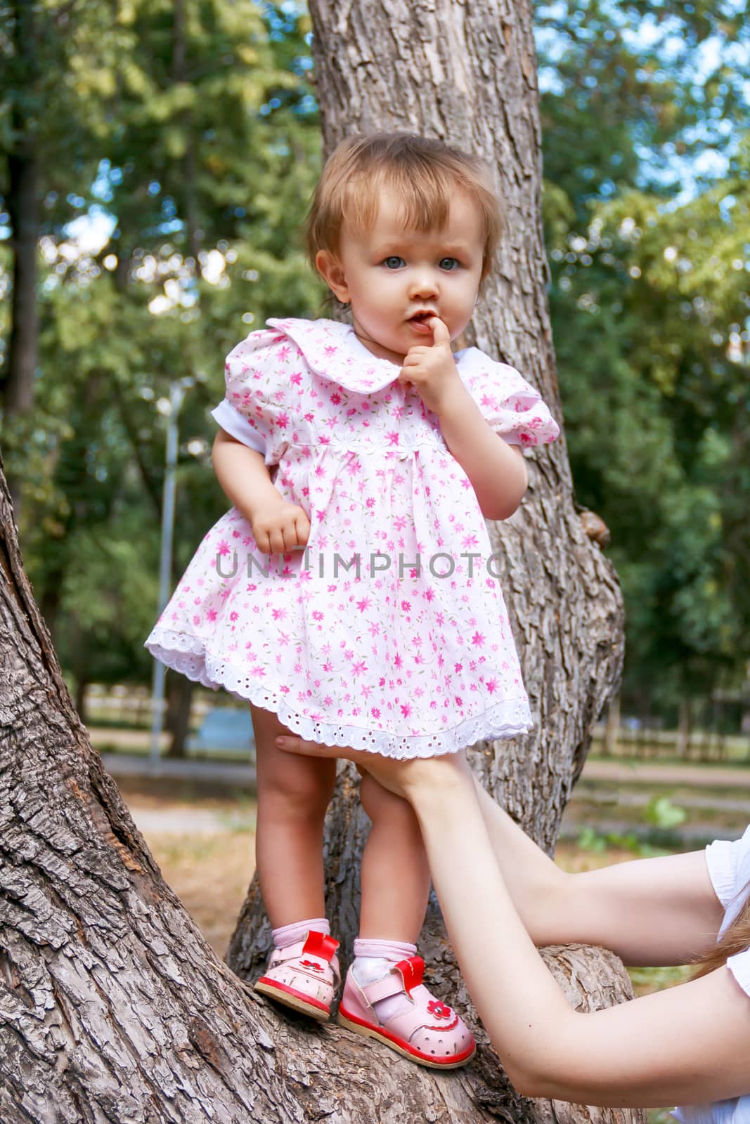 Cute infant in pink dress standing on tree suckle finger