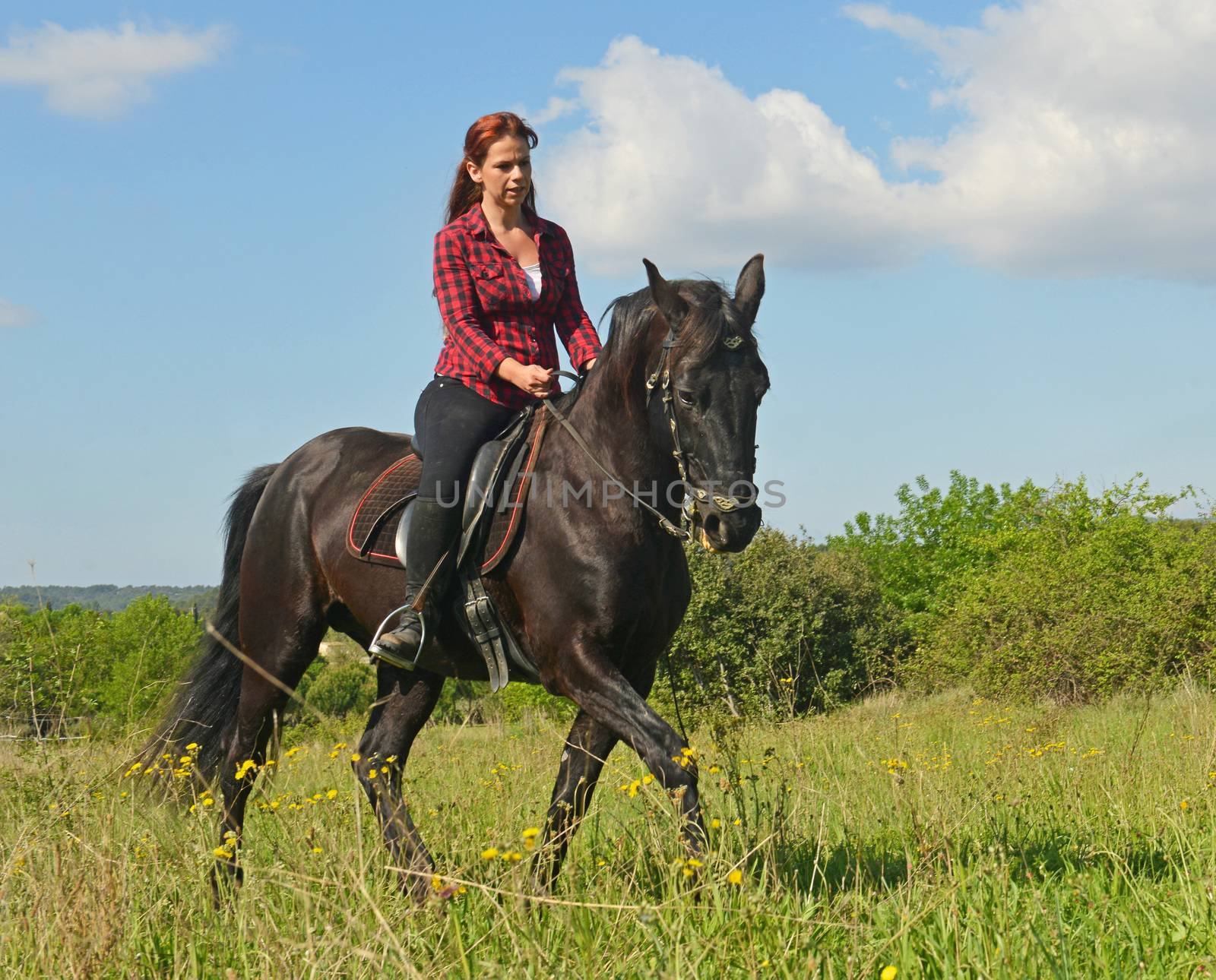 young riding girl and her black stallion in nature