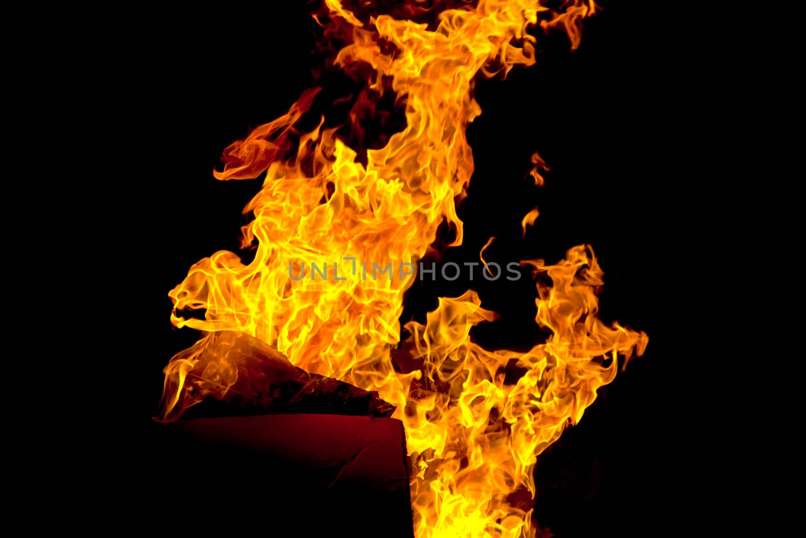Photo of red fire flame on black background