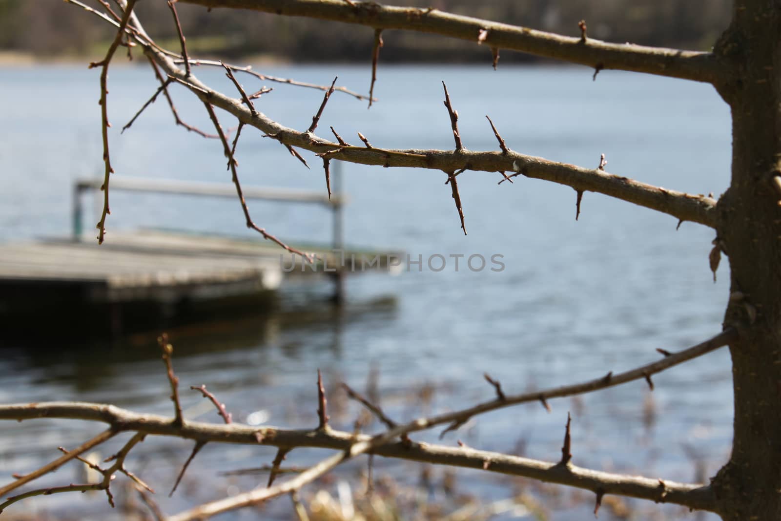 Platform on the lake by Kasia_Lawrynowicz