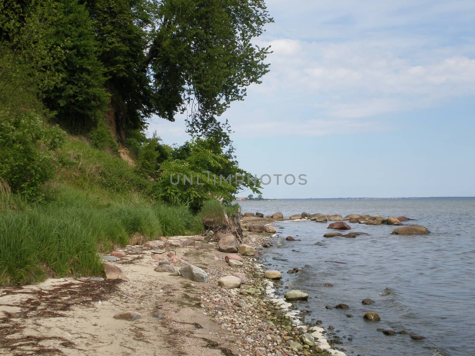 Rocks and sand and green trees on the beach.