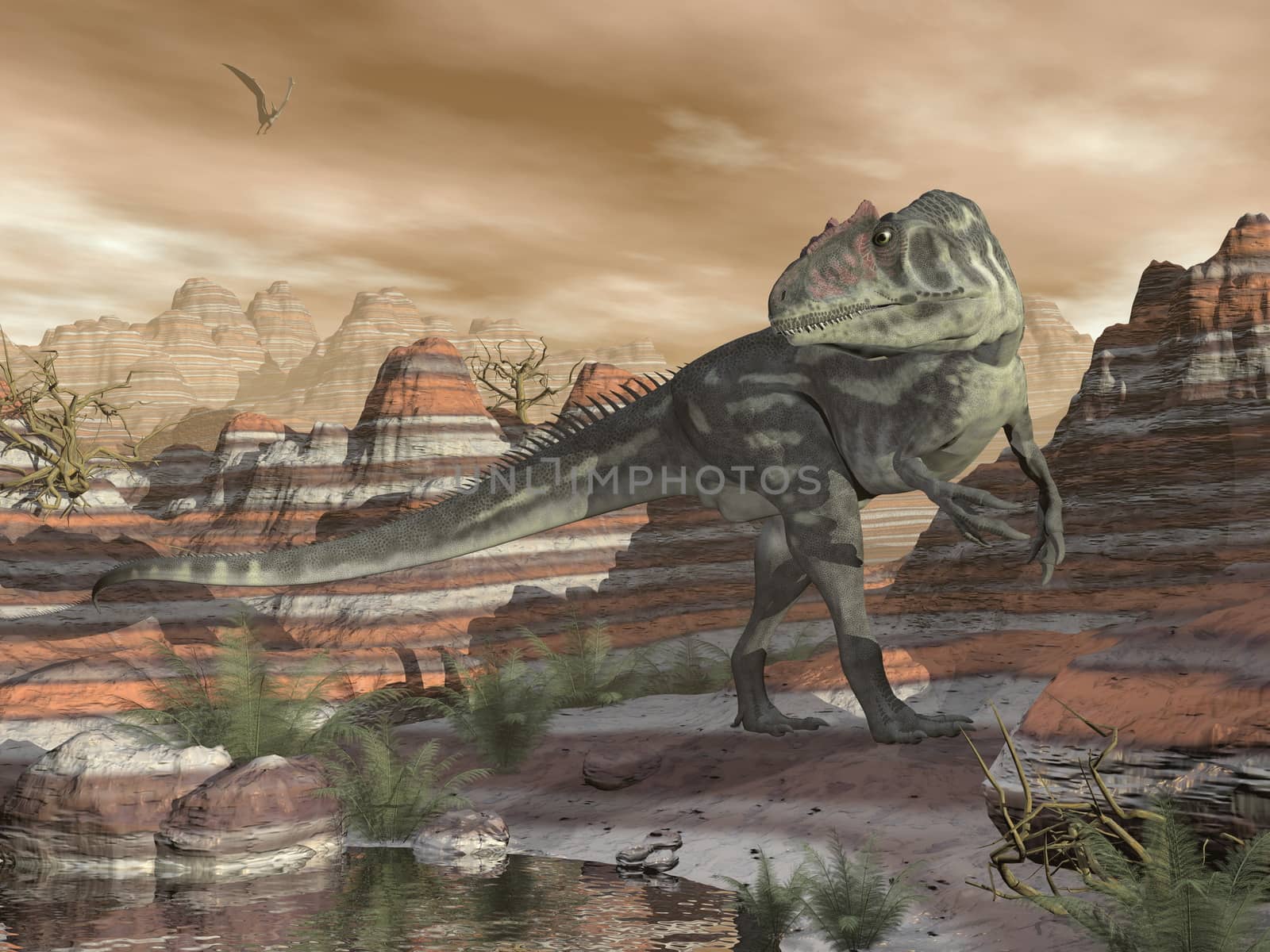 Allosaurus dinosaur walking in the desert canyon by sunset - 3D render