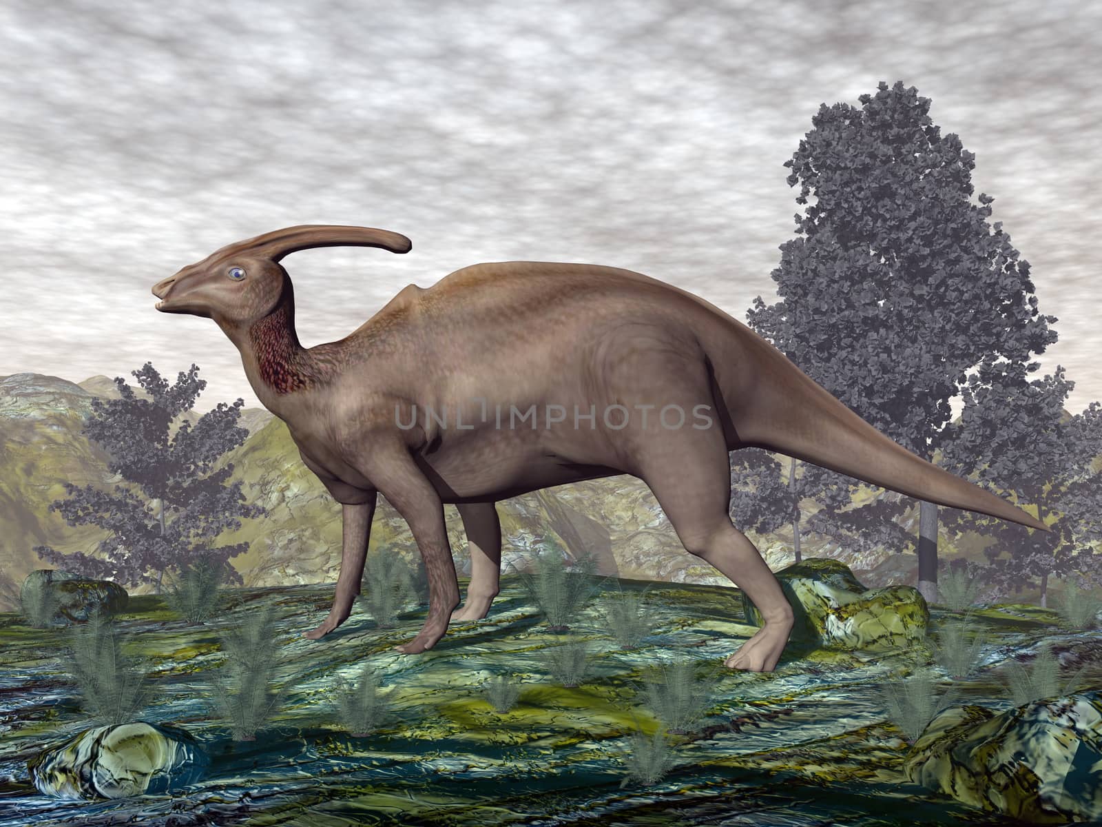 Parasaurolophus dinosaur walking next to gingko trees and onychiopsis plants - 3D render