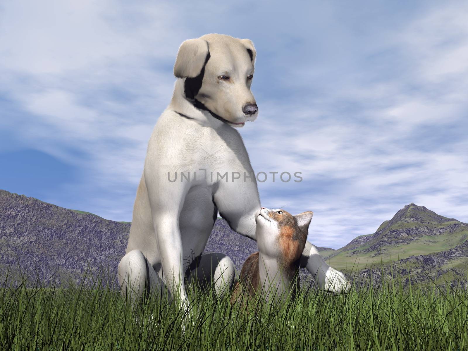 Dog and cat friendship in the grass by day - 3D render