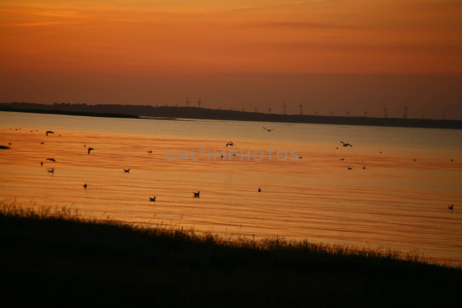 Summer in Djursland - Denmark
