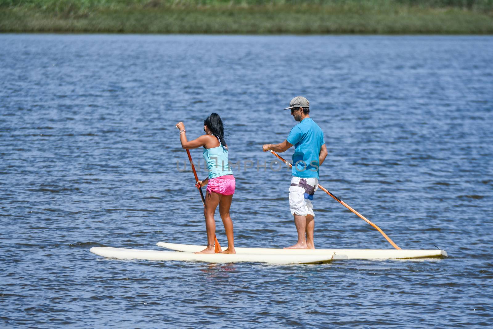 Man and woman stand up paddleboarding on lake. Young couple are doing watersport on lake. Male and female tourists are in swimwear during summer vacation.