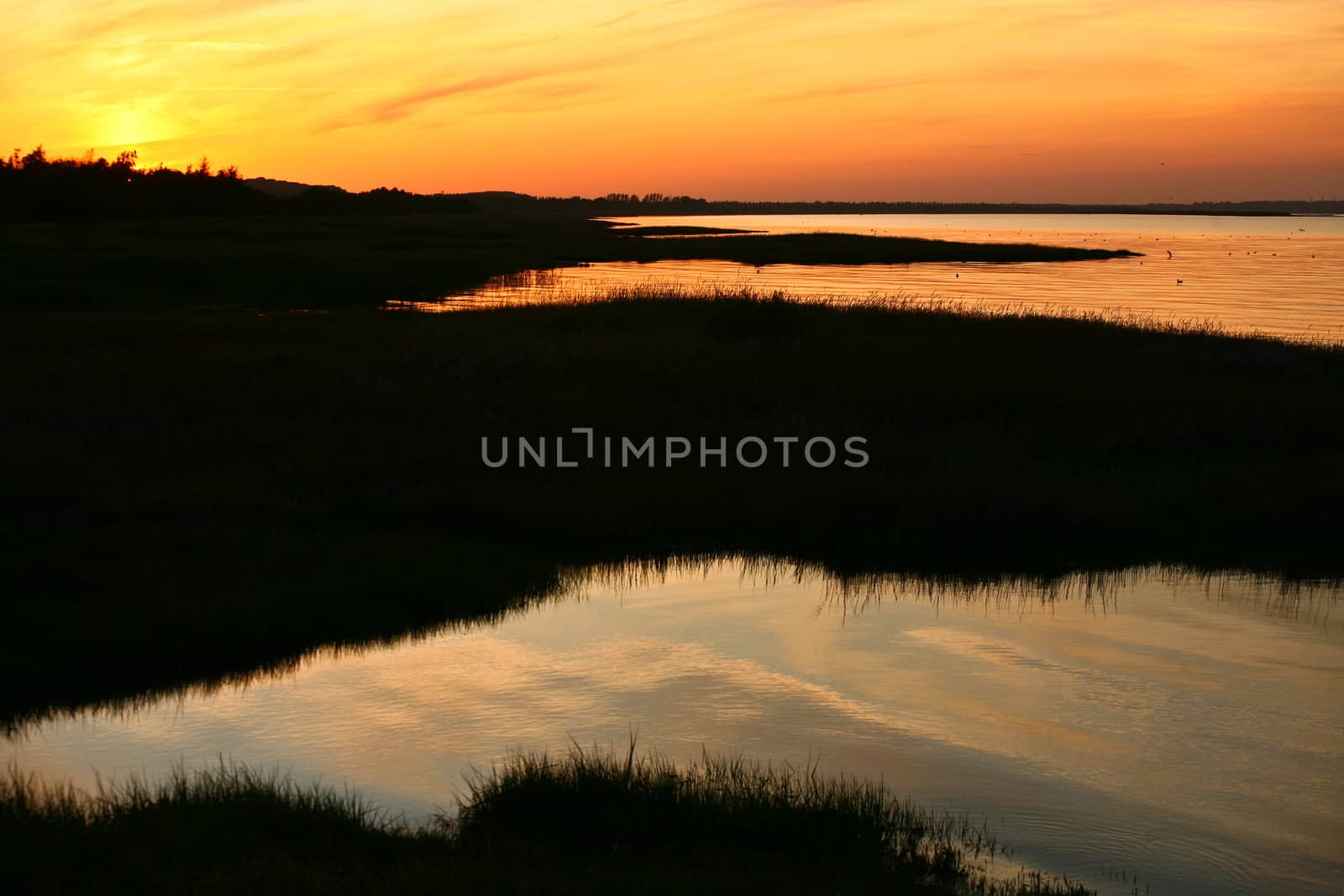 Summer in Djursland - Denmark
