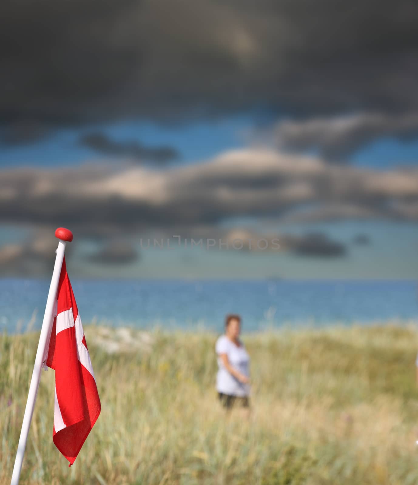 Summer in Djursland - Denmark