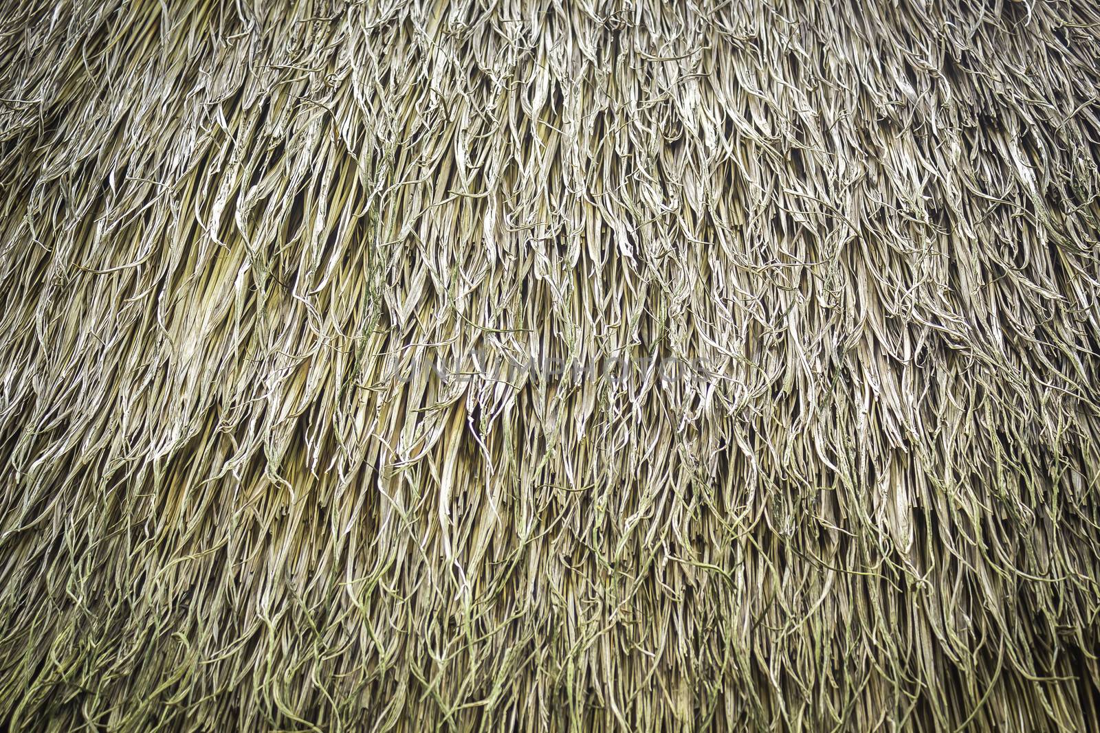 Texture and pattern of grasses thatch roof