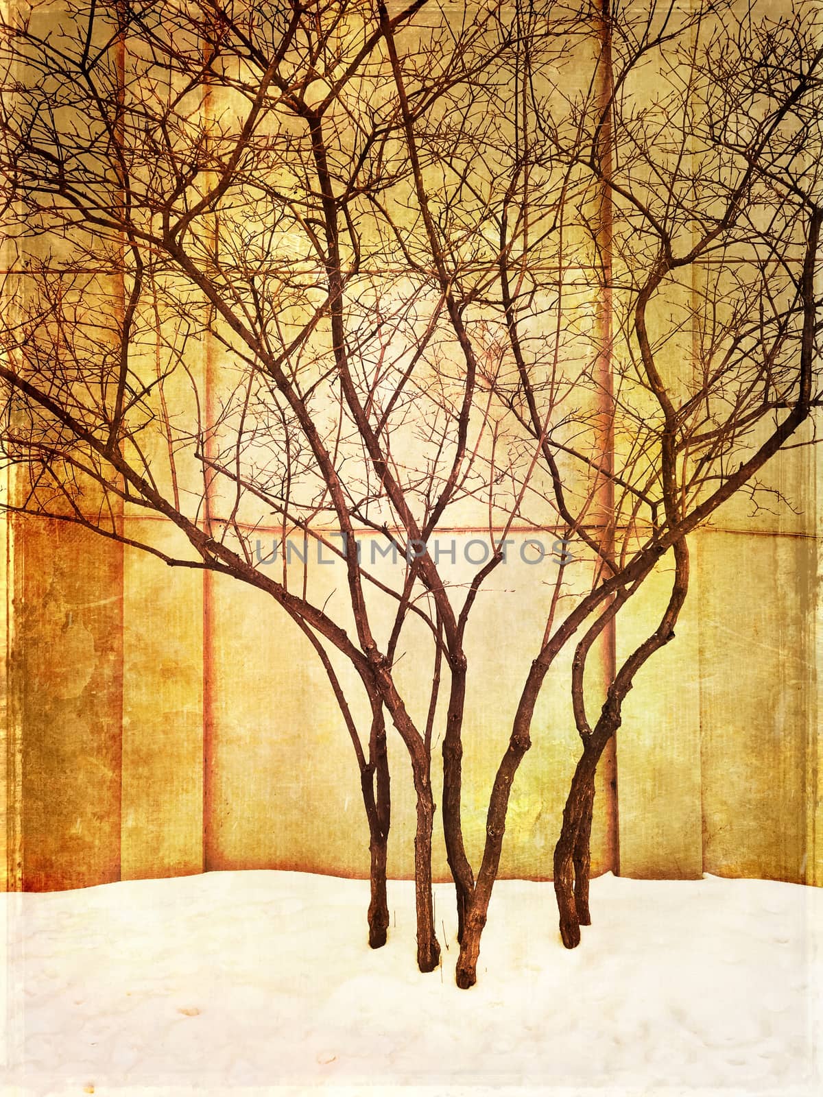 Grungy image of trees in snow by anikasalsera