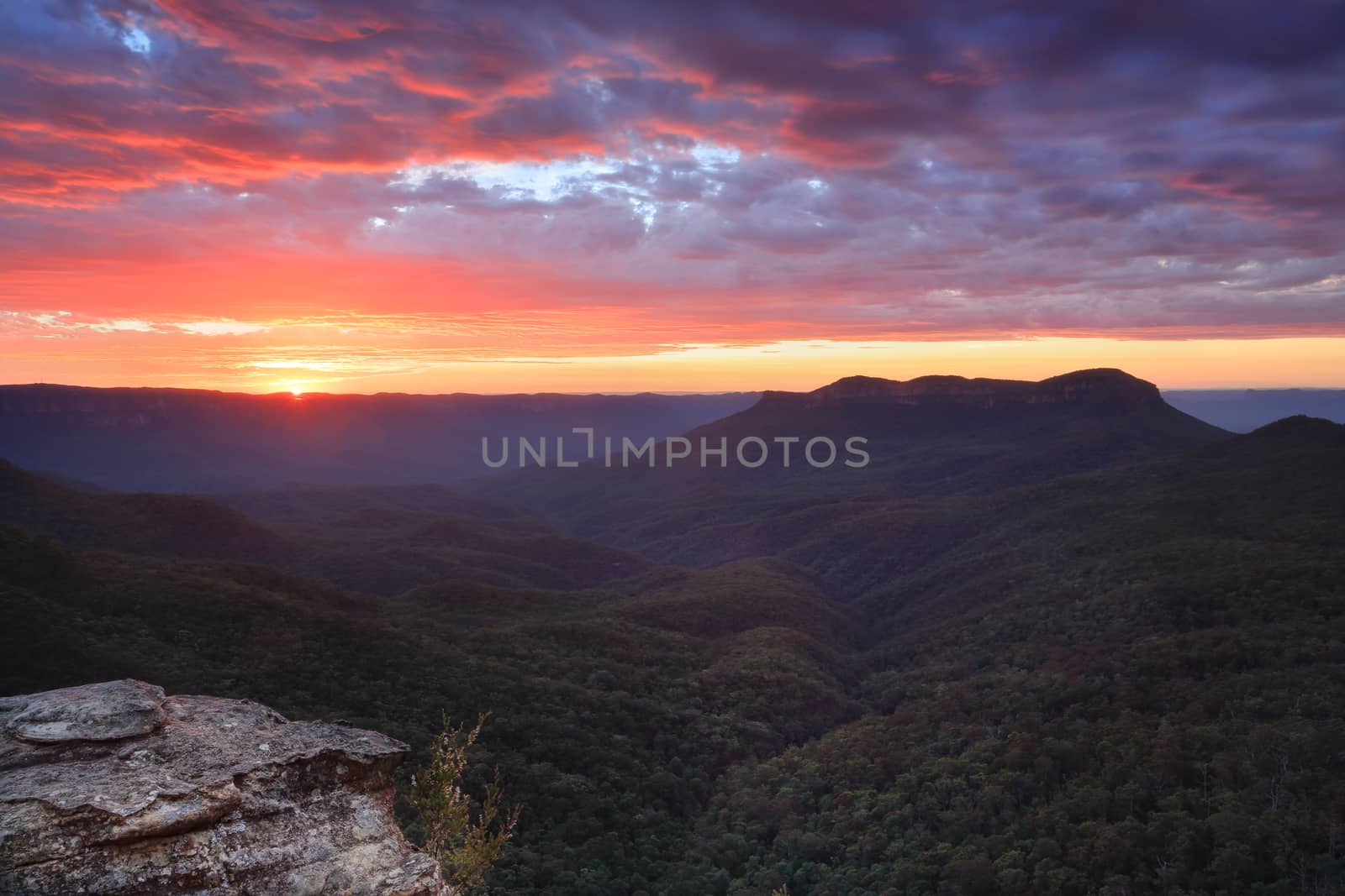 Spectacular sunriwse with views across the magnificent Jamison Valley to Mount Solitary, Blue Mountains Australia
