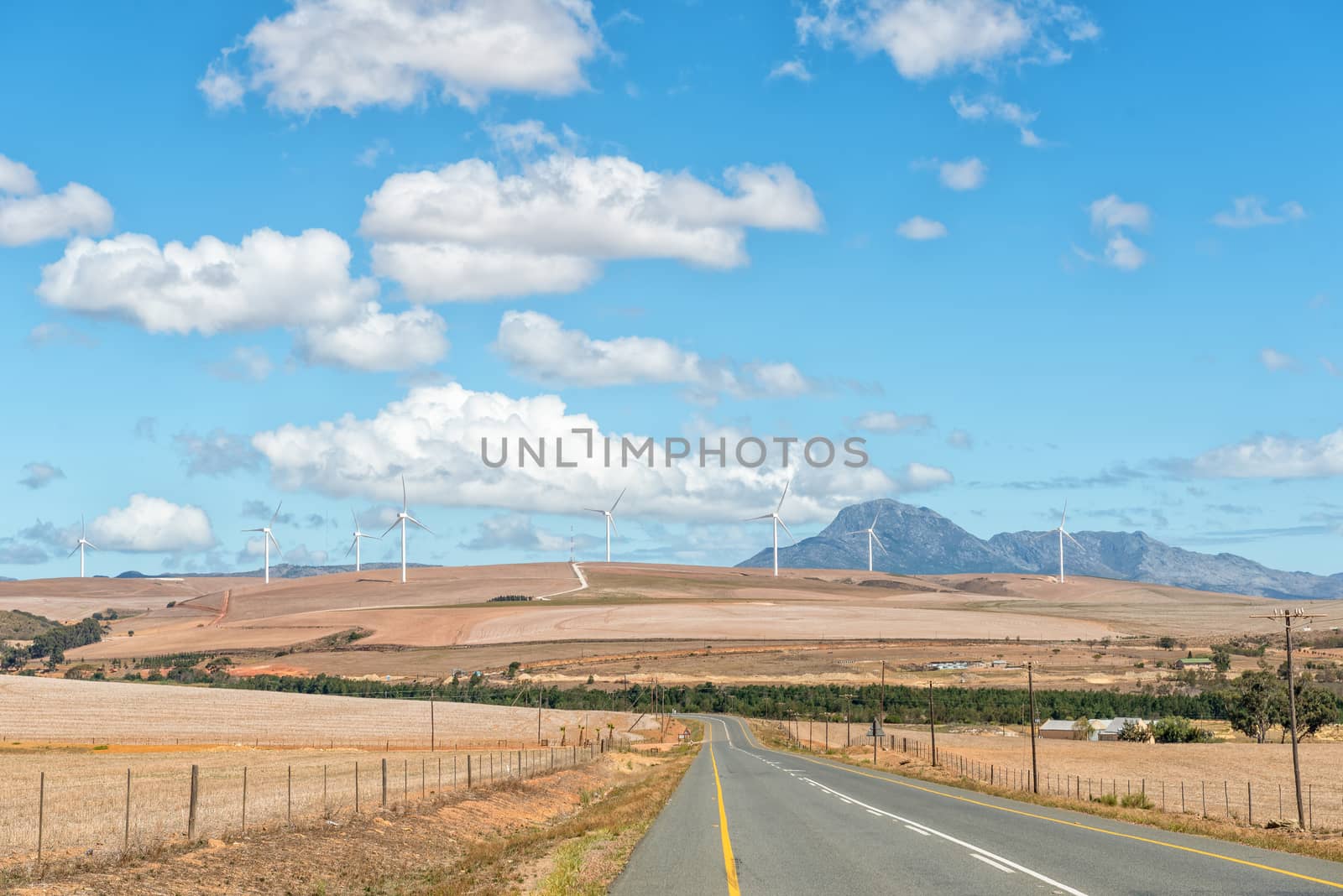 A view of the road from Genadendal to Caledon with a wind-farm in the distance near Caledon