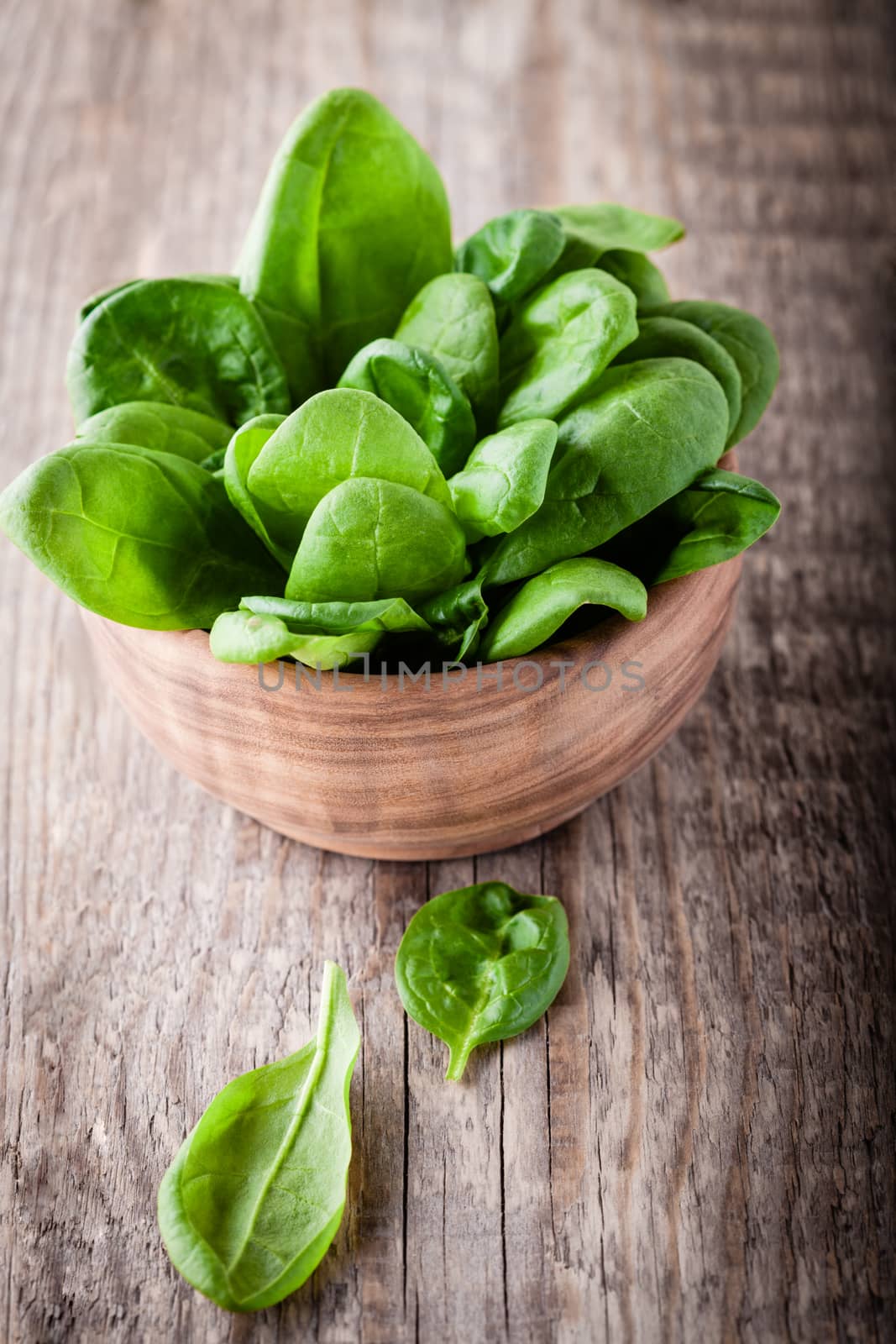 Baby spinach in the bowl by supercat67