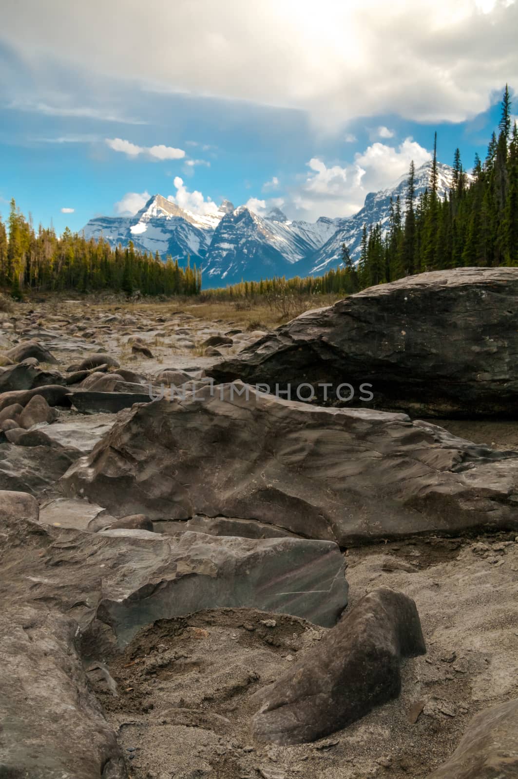 Stones along the riverbank of the Athabasca River in Jasper National Park.