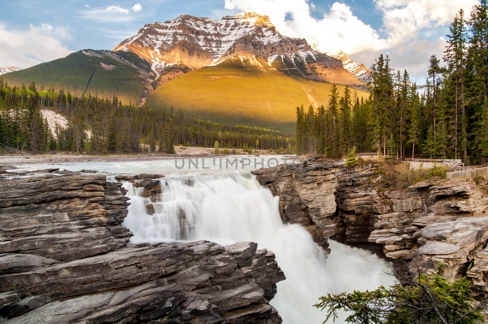 Athabasca Falls by rjamphoto