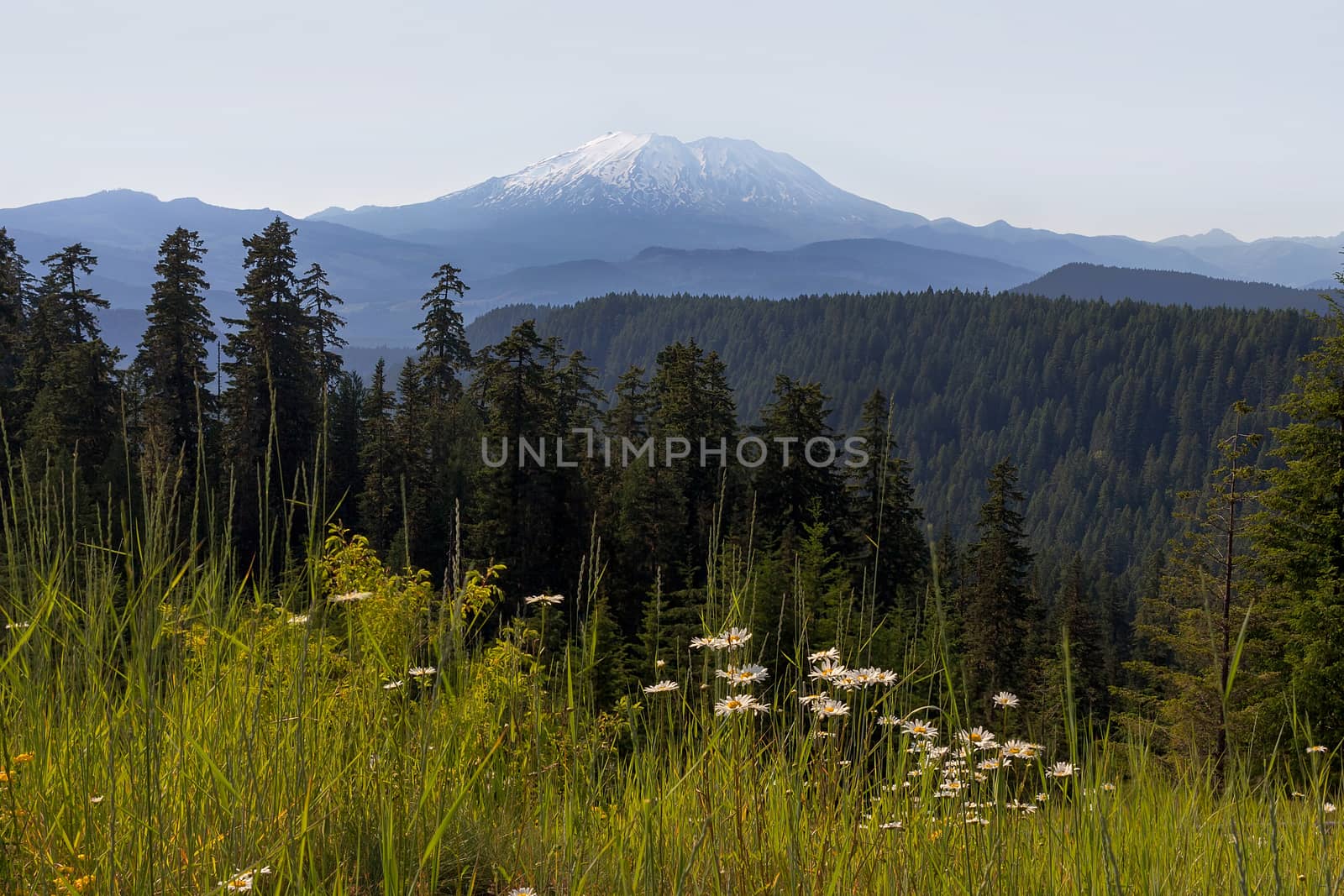 Mount St Helens in Washington State by Davidgn