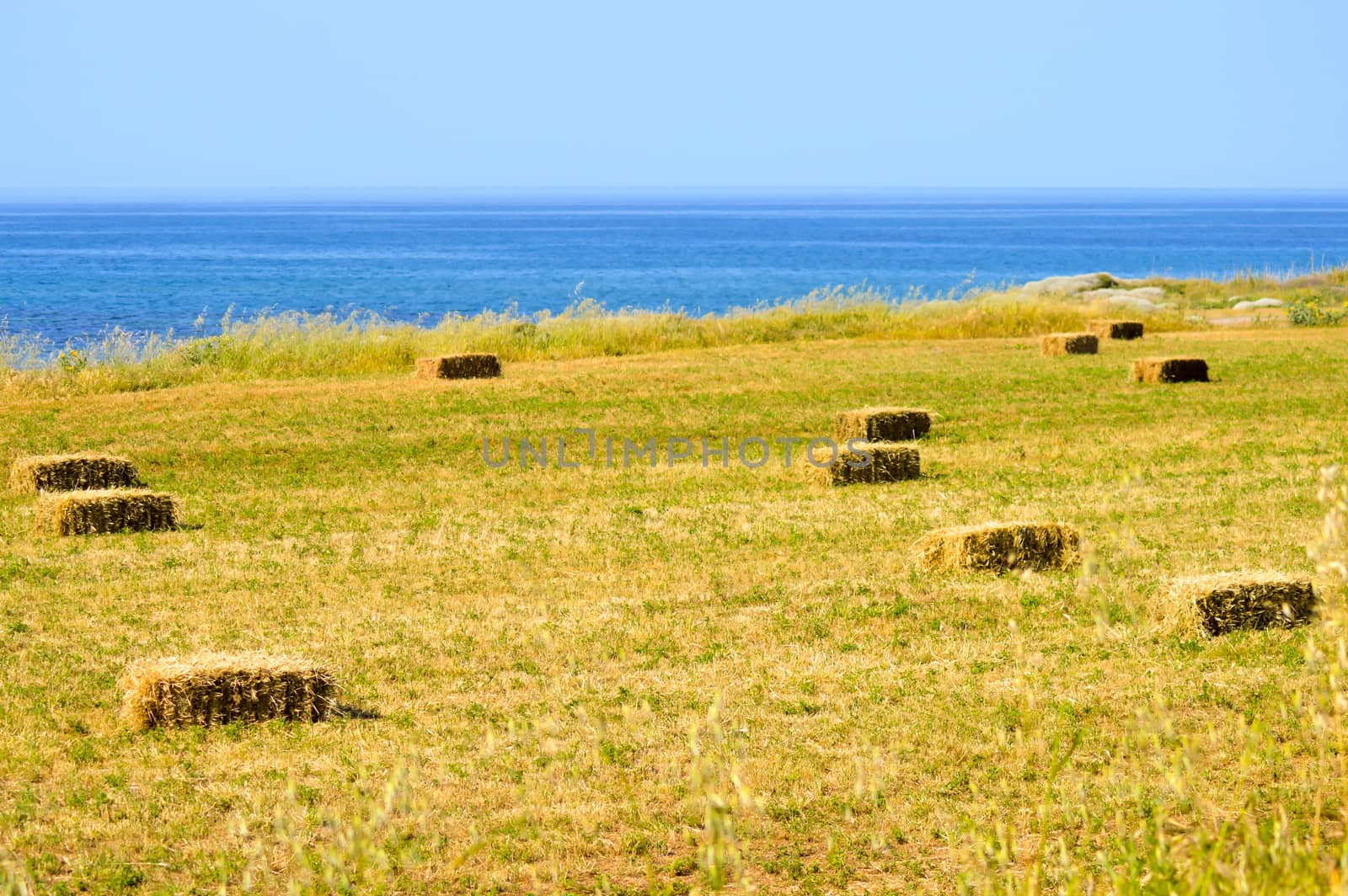 Straw bales in a field  by Philou1000