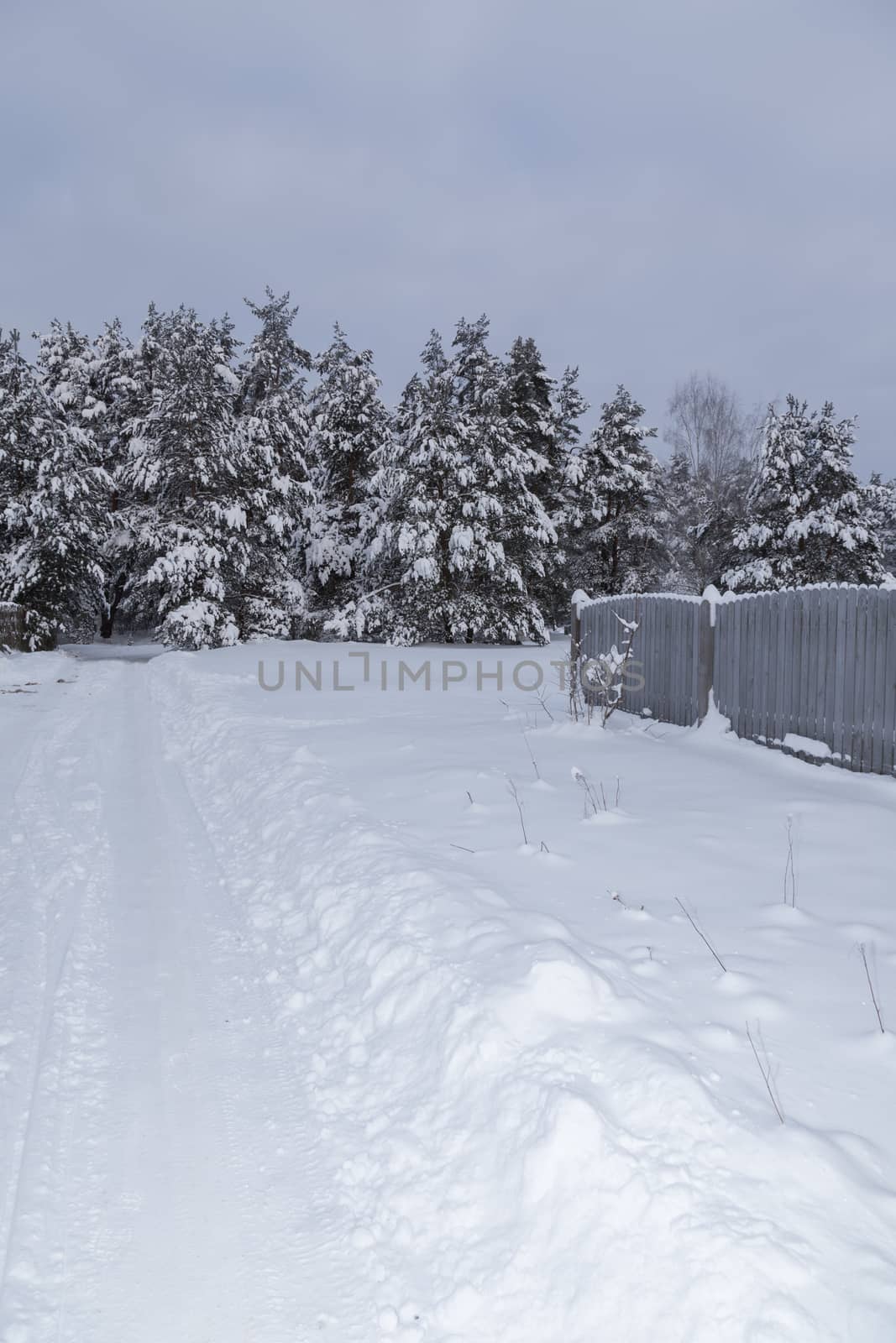 Cold russian snow winter