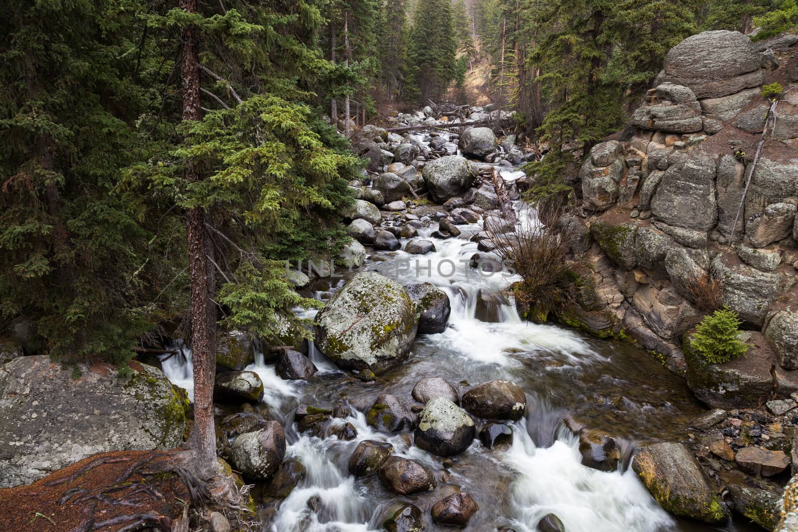 Tower Creek in Yellowstone National Park, USA.