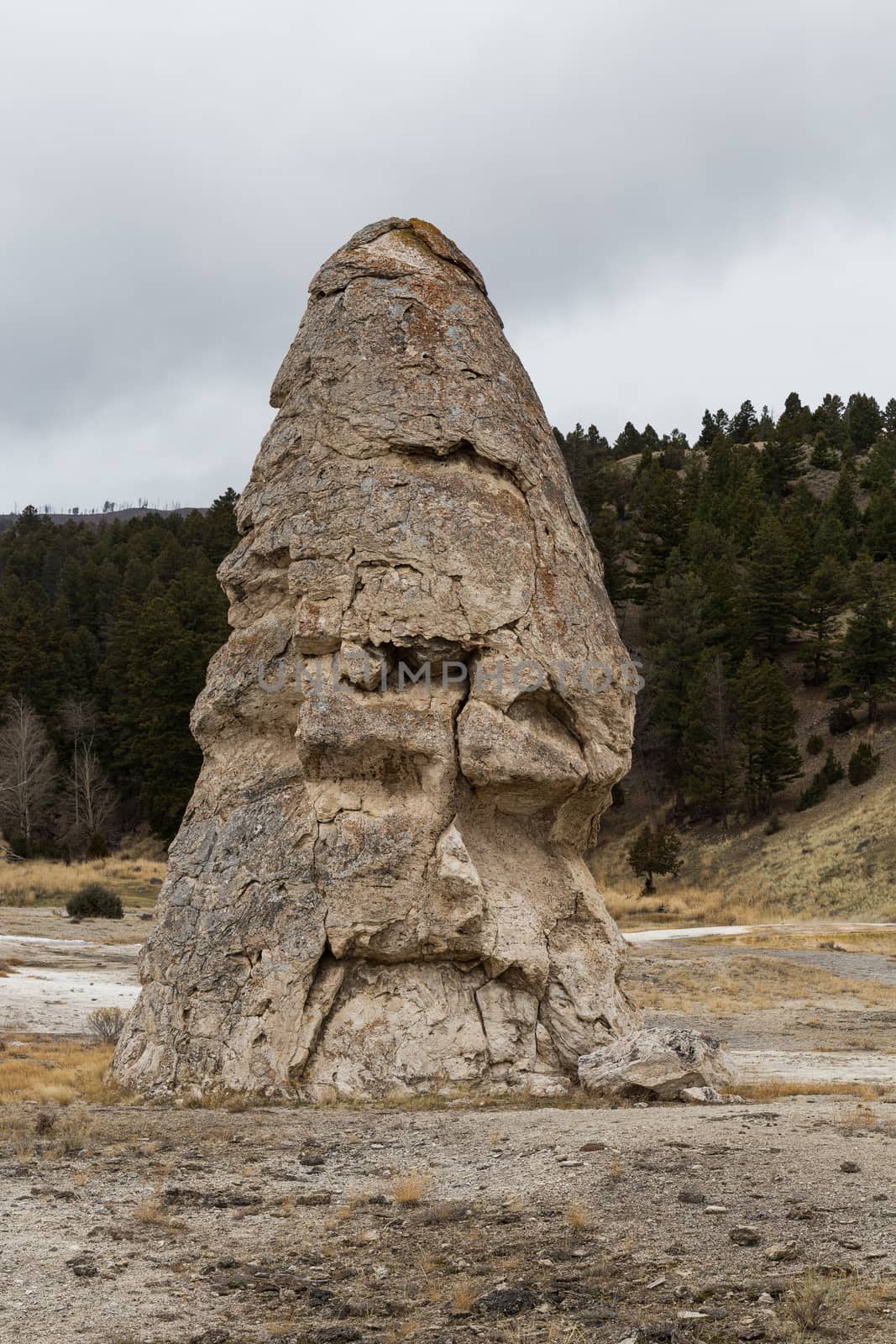 Liberty Cap near Mammoth Hot Springs in Yellowstone National Park.