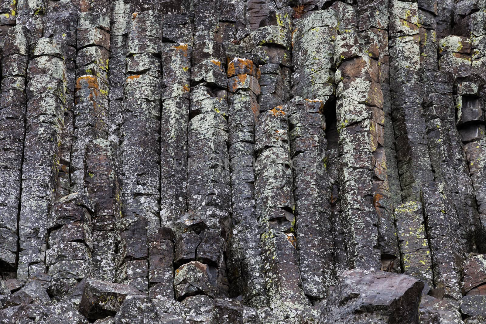 Closeup of the stone making up Sheepeater Cliff in Yellowstone National Park.