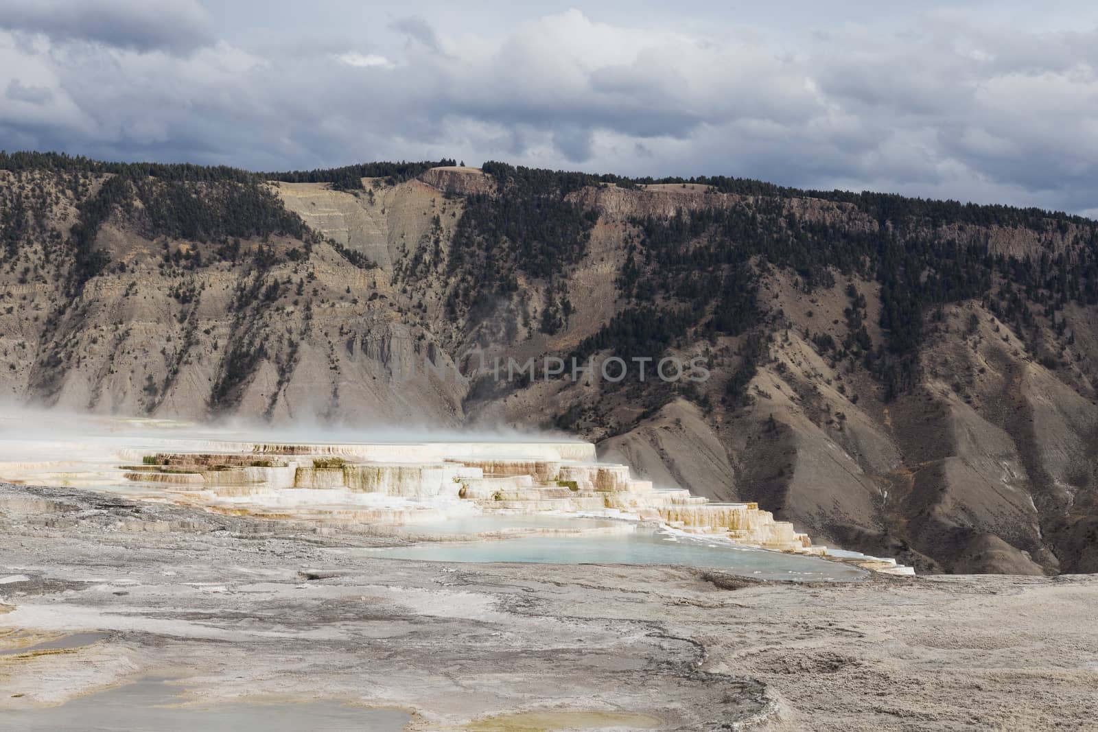 View of Mammoth Hot Springs in Yellowstone National Park.