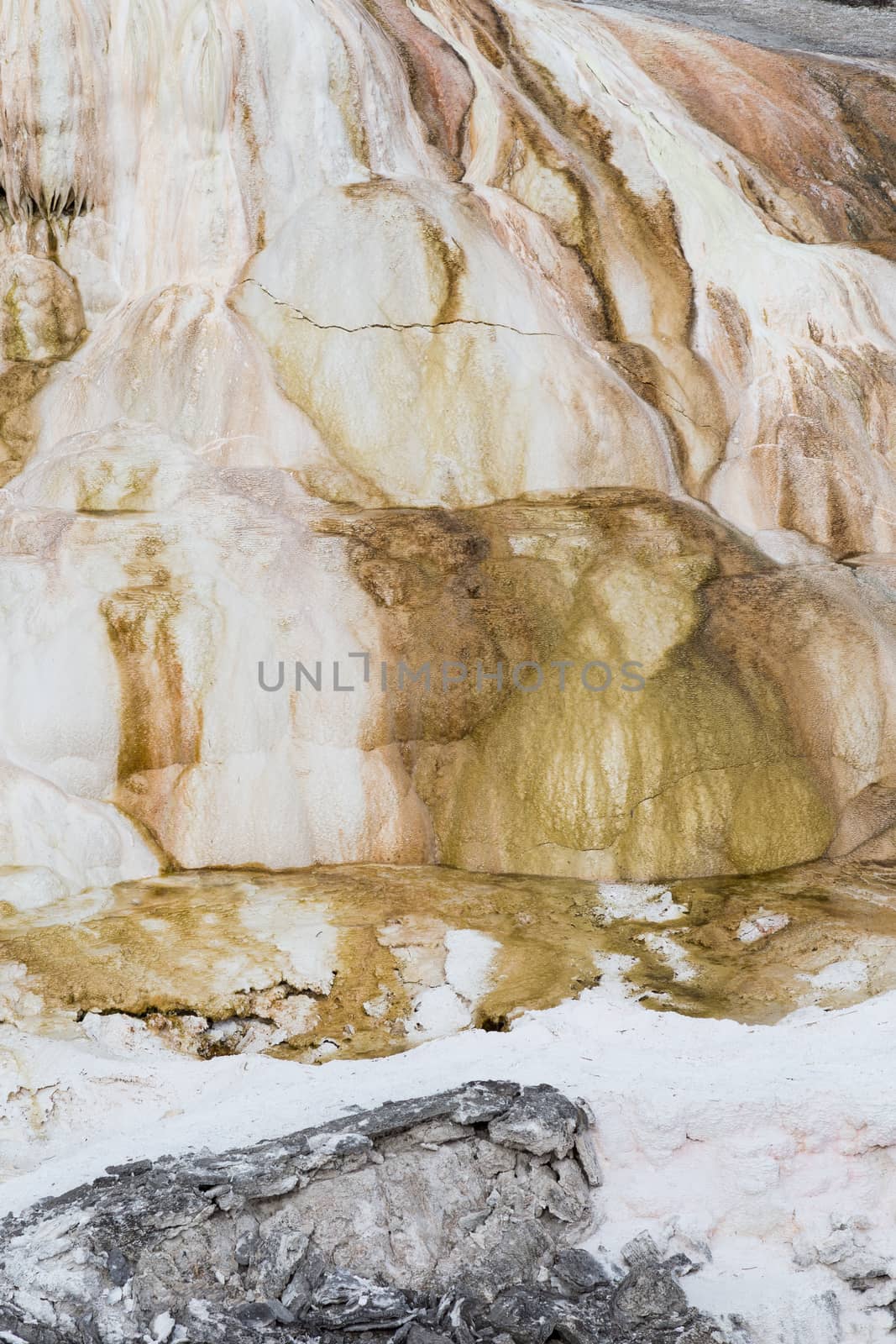 Closeup of Mammoth Hot Springs in Yellowstone National Park.