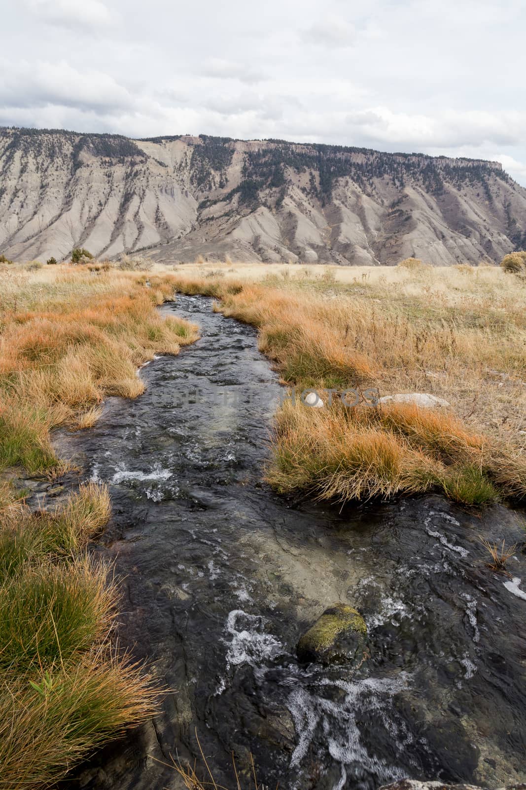 A small creek runs away from Mammoth Hot Springs in Yellowstone National Park.