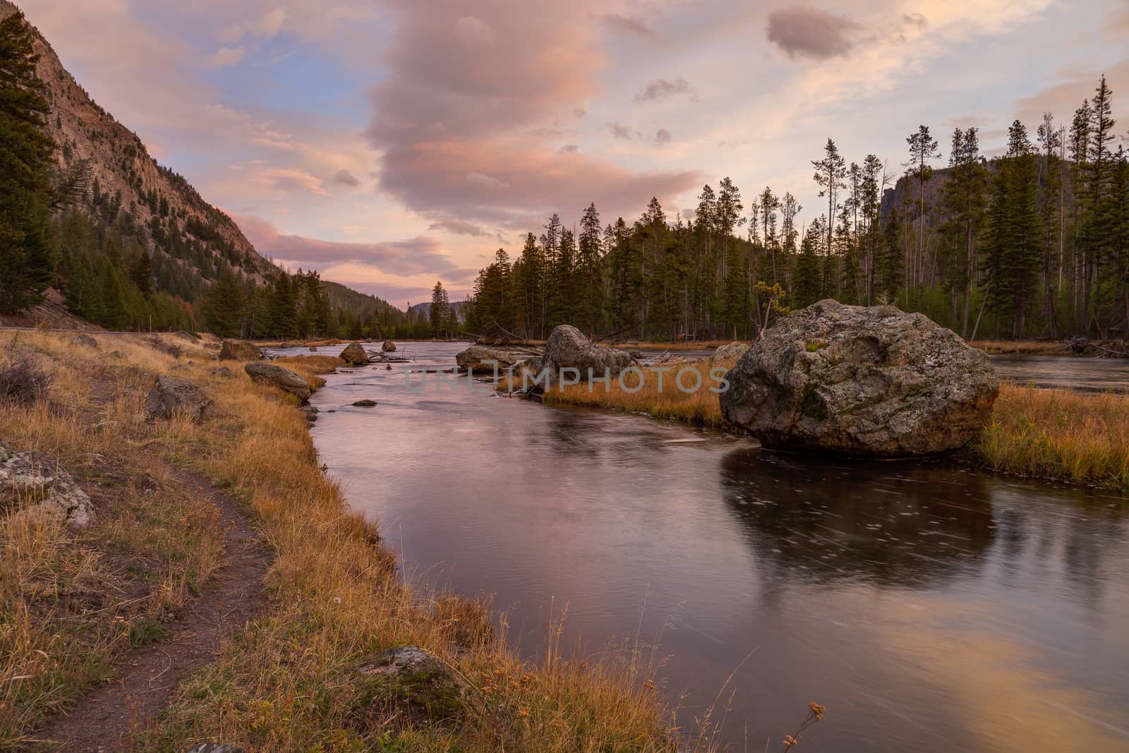 View along the Madison River in Yellowstone National Park.