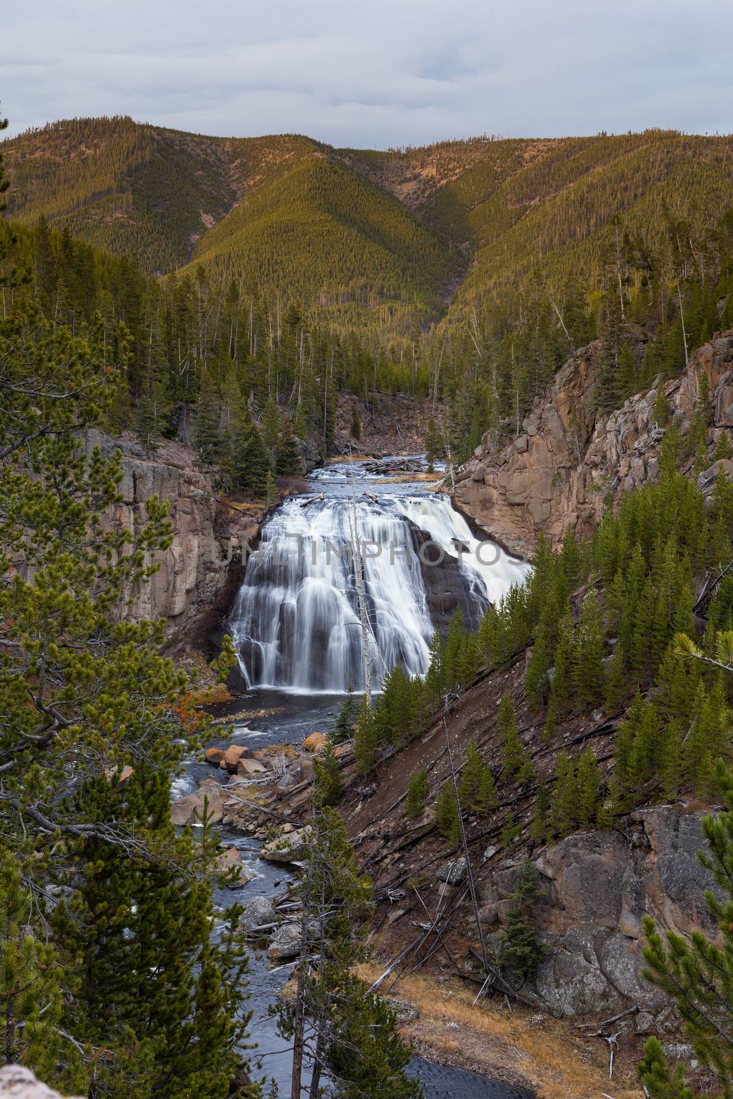 Overlooking Gibbon Falls at sunset in Yellowstone.