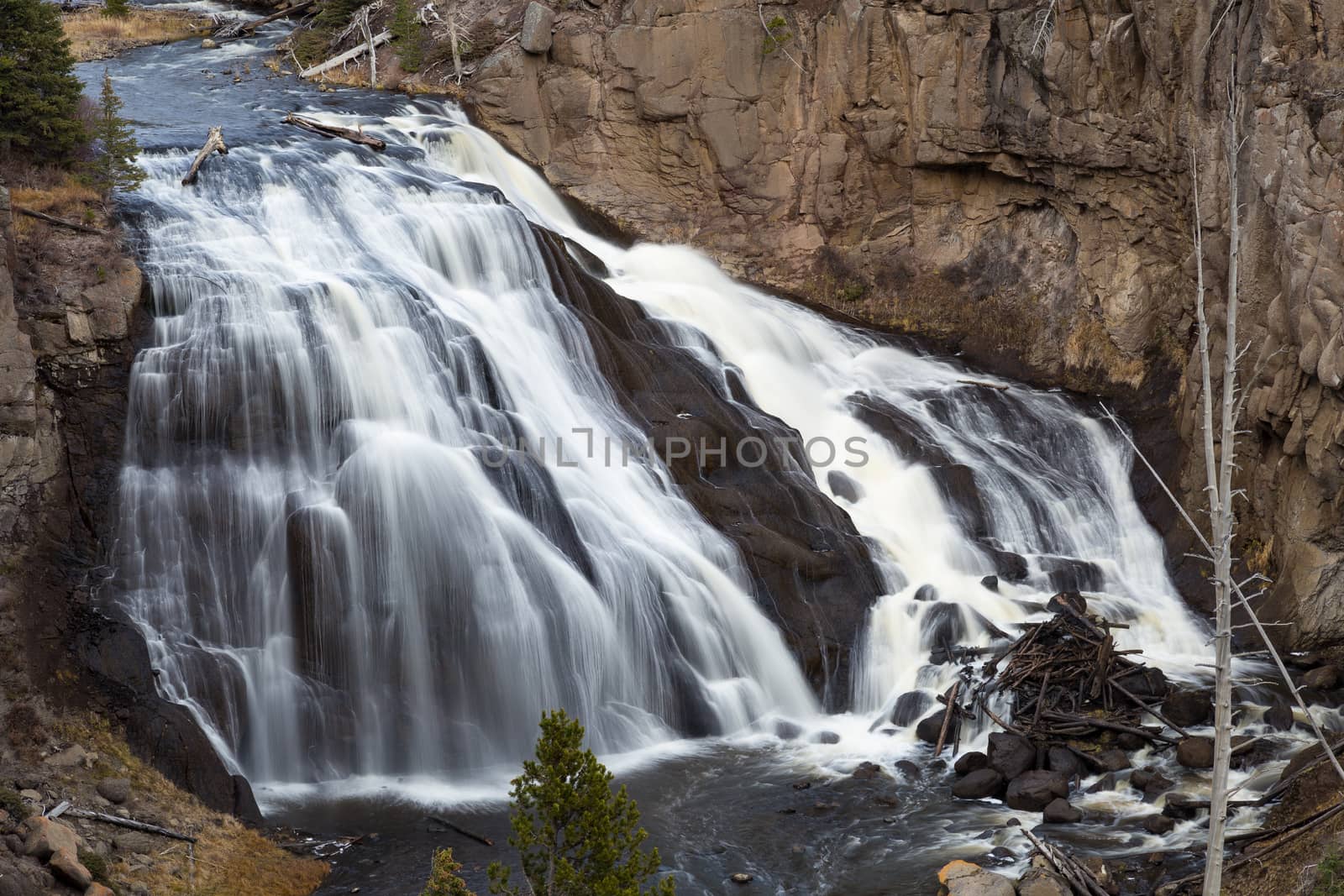 A closeup view of Gibbon Falls in Yellowstone National Park.