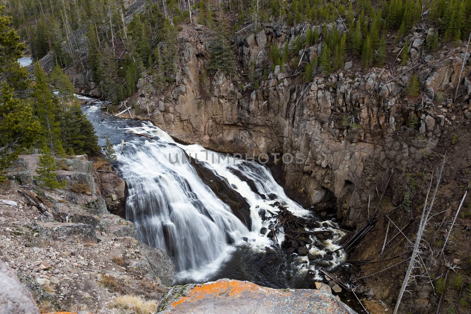 Looking out over Gibbon Falls in Yellowstone National Park.