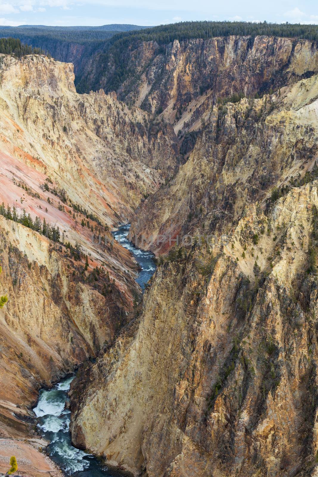 Looking out over the Grand Canyon of Yellowstone from Lookout Point.