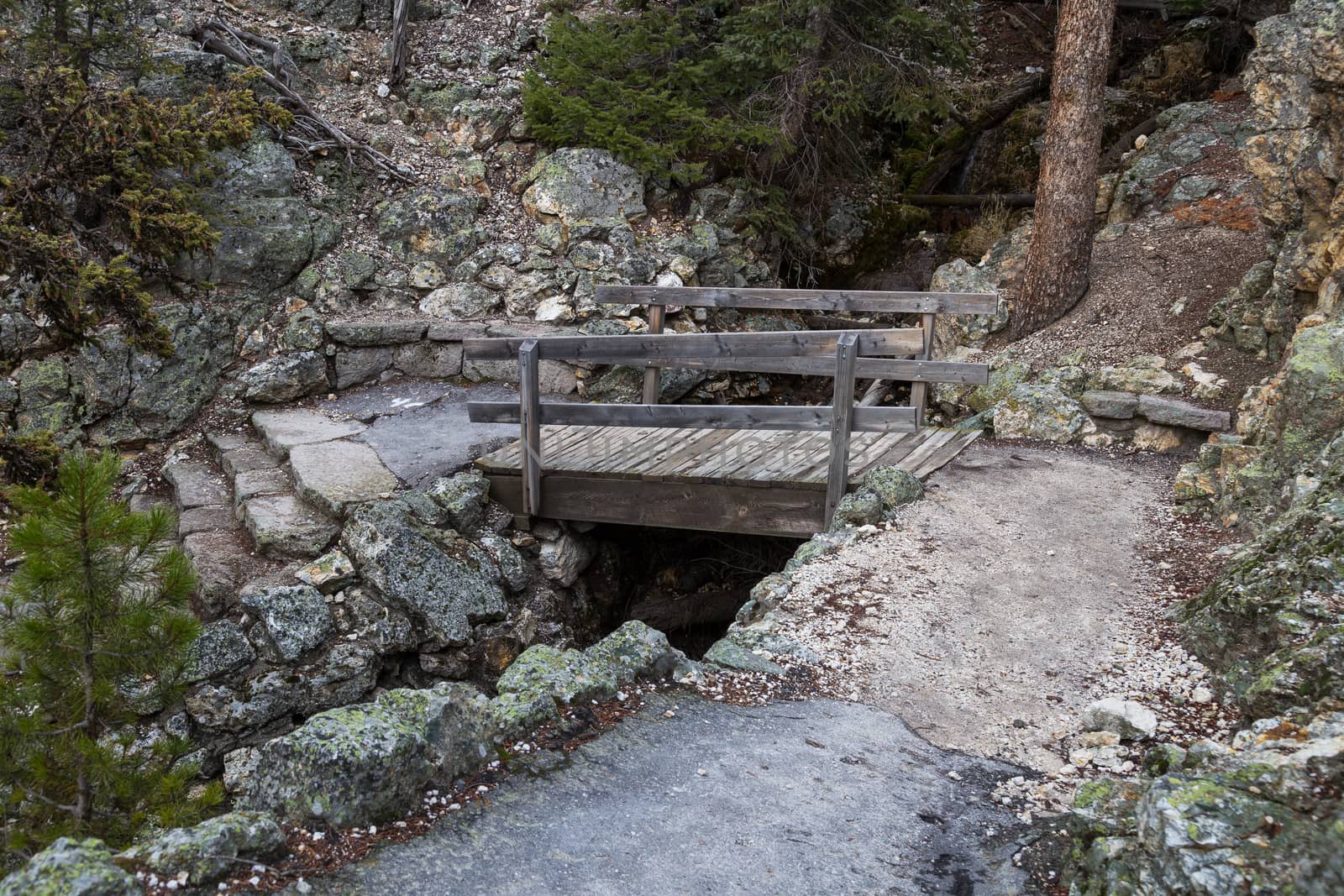 A bridge on the Red Rock Trail in the Grand Canyon of Yellowstone.
