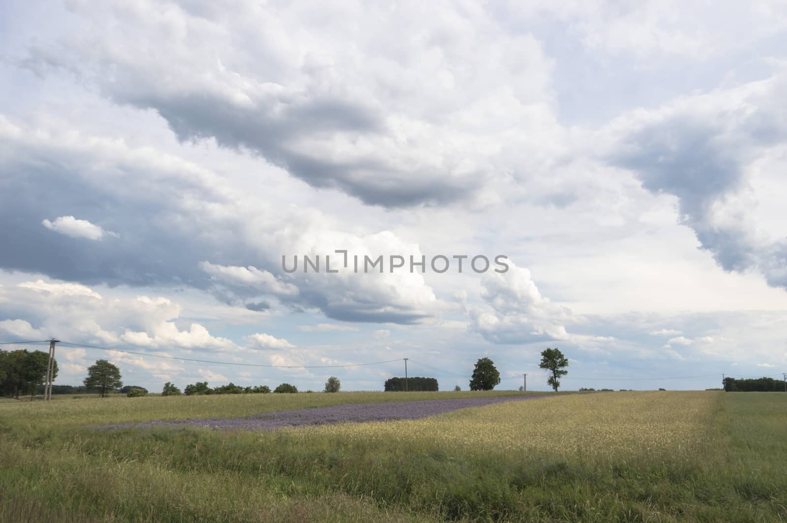 blue sky, natural clouds, nature series
