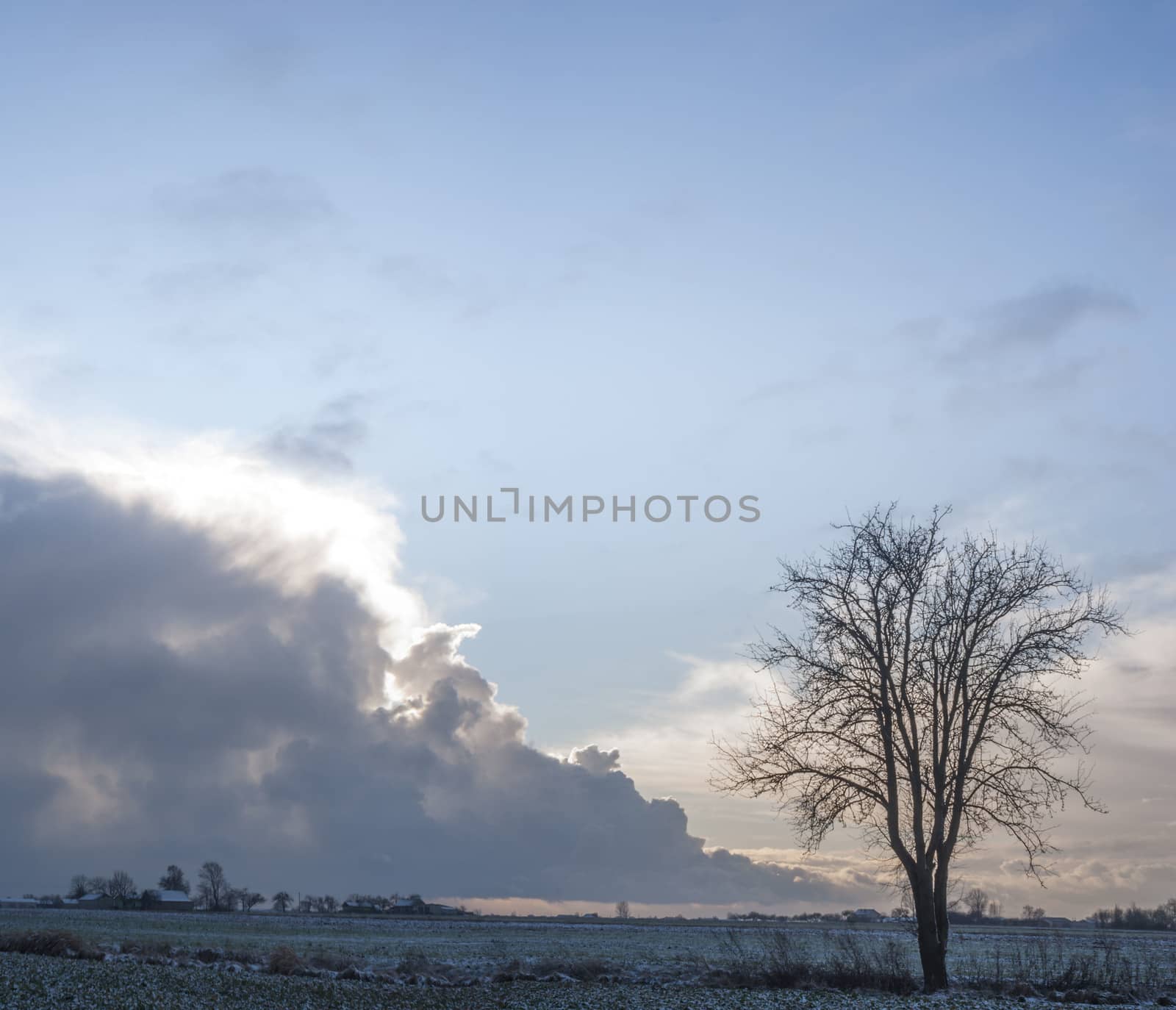 blue sky, natural clouds, nature series