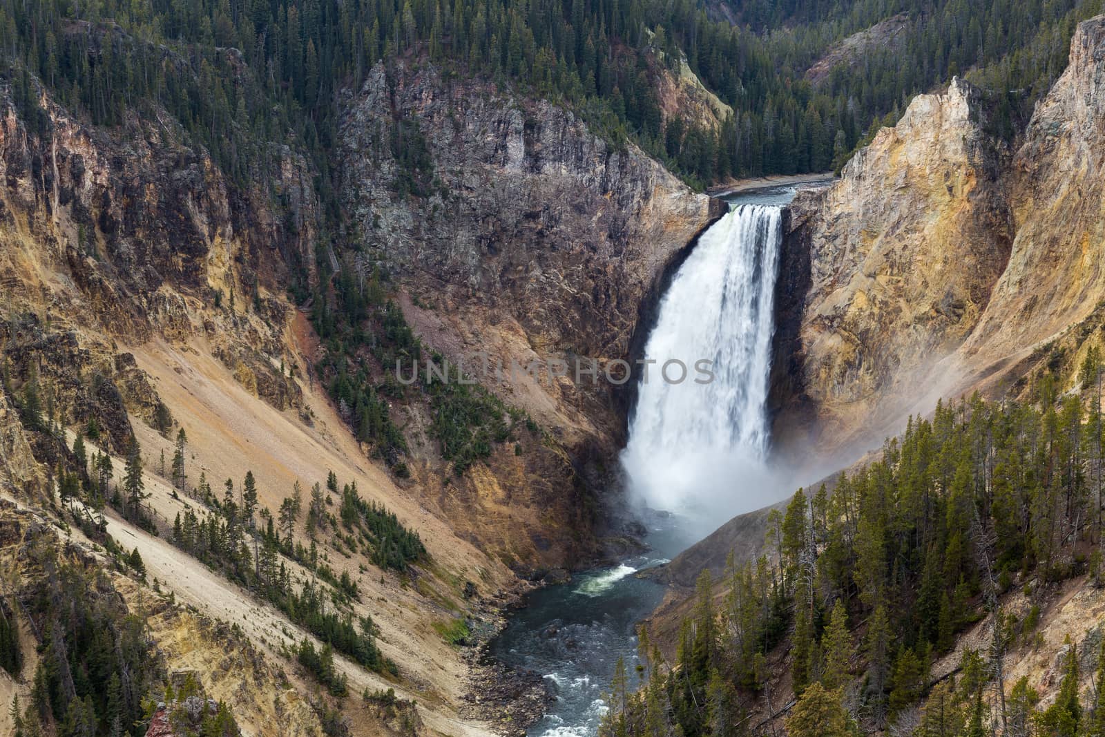 The Lower Falls of the Grand Canyon of Yellowstone National Park.