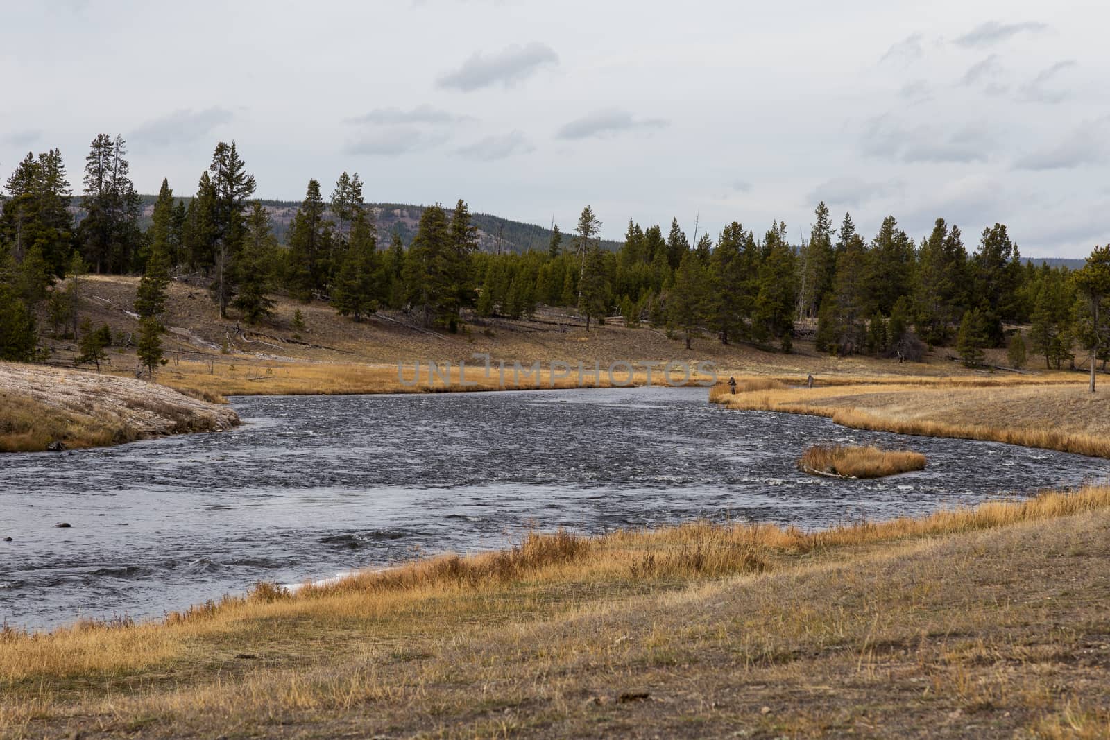 Fishermen fly fishing on Firehole River in Yellowstone National Park.