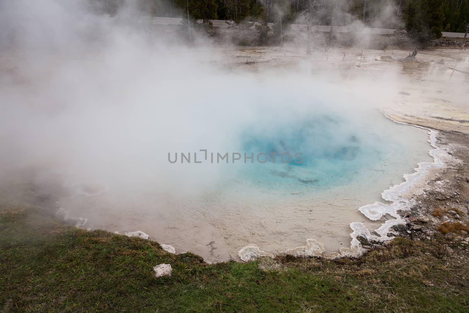 Steam rises from Silex Spring in Yellowstone National Park.