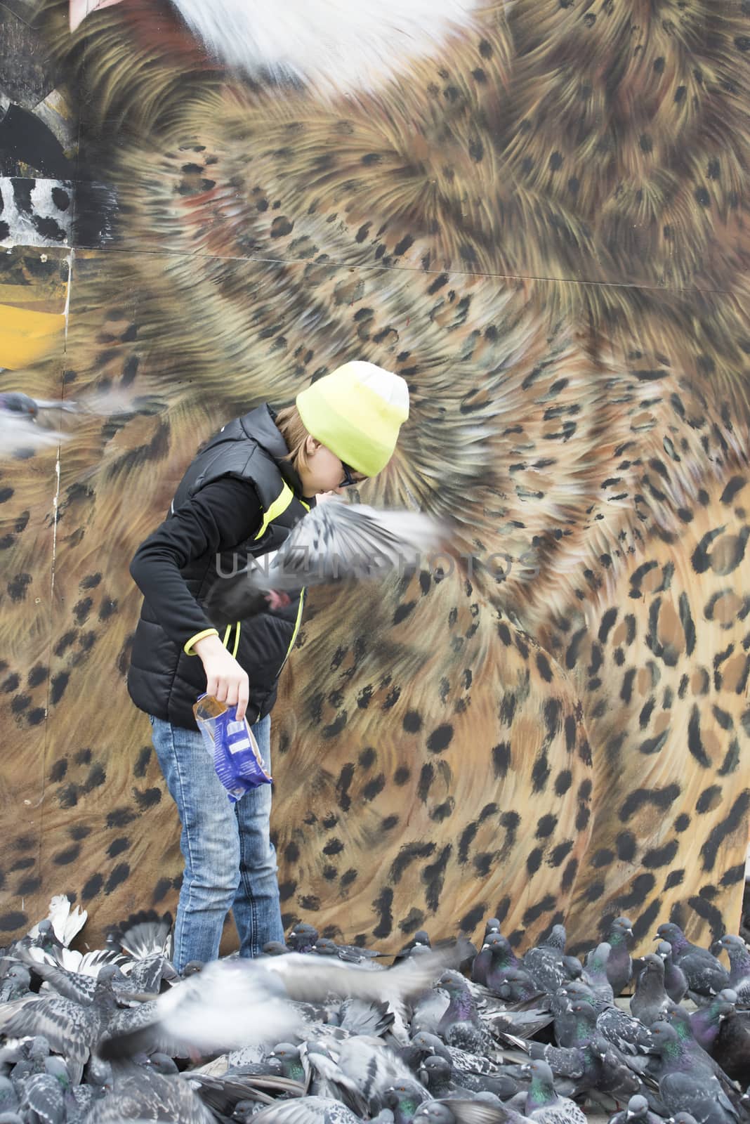 Girl feeds pigeons on the city square on a background of graffiti