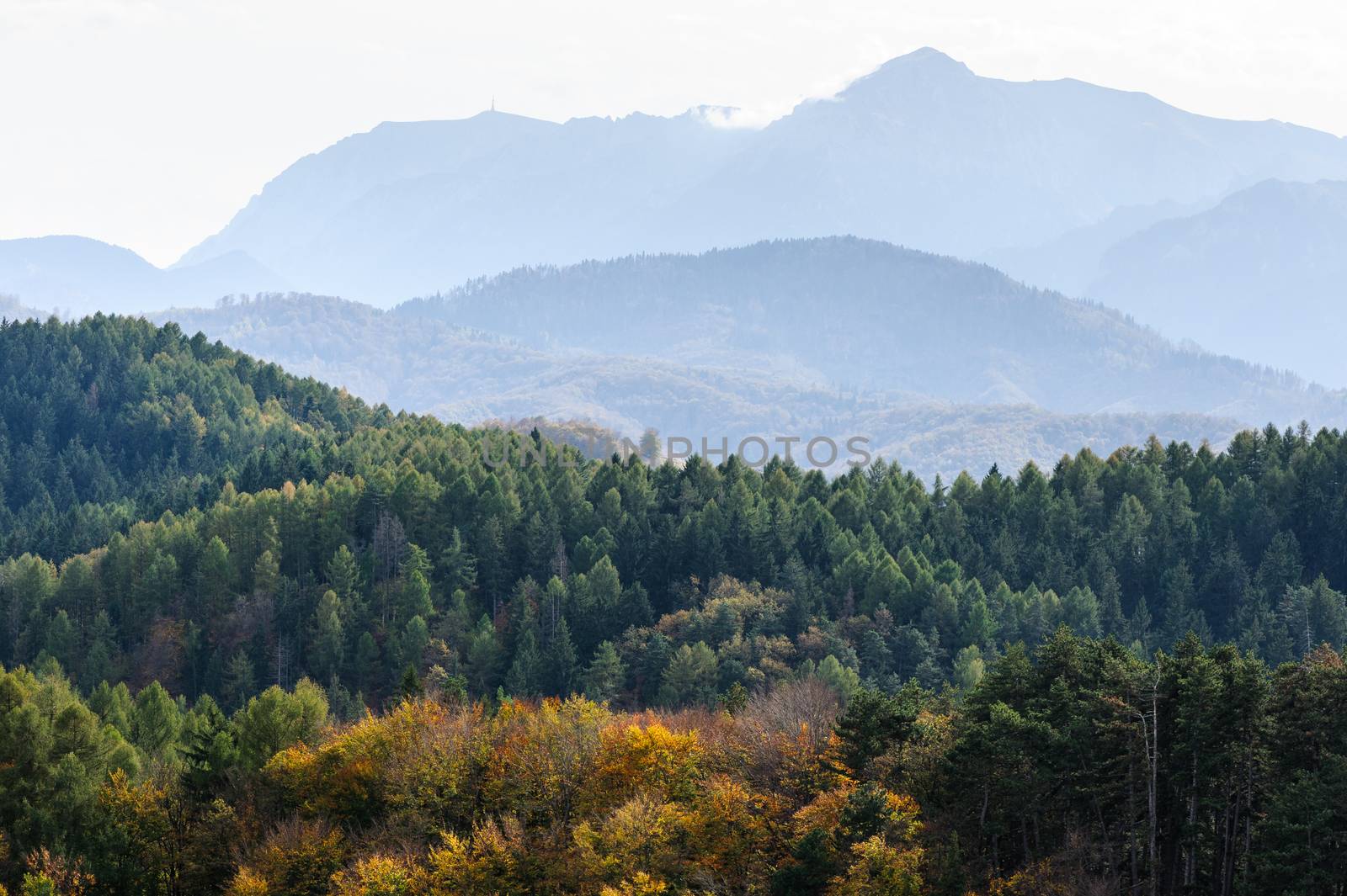 Late autumn landscape with forest and mountains