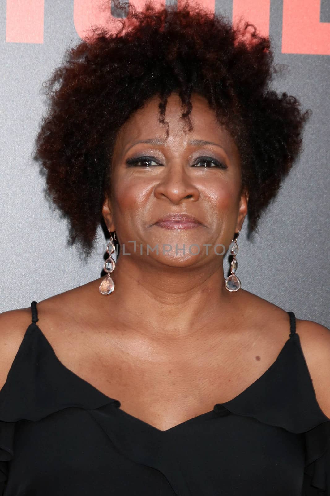 Wanda Sykes at the "Snatched" World Premiere, Village Theater, Westwood, CA 05-10-17