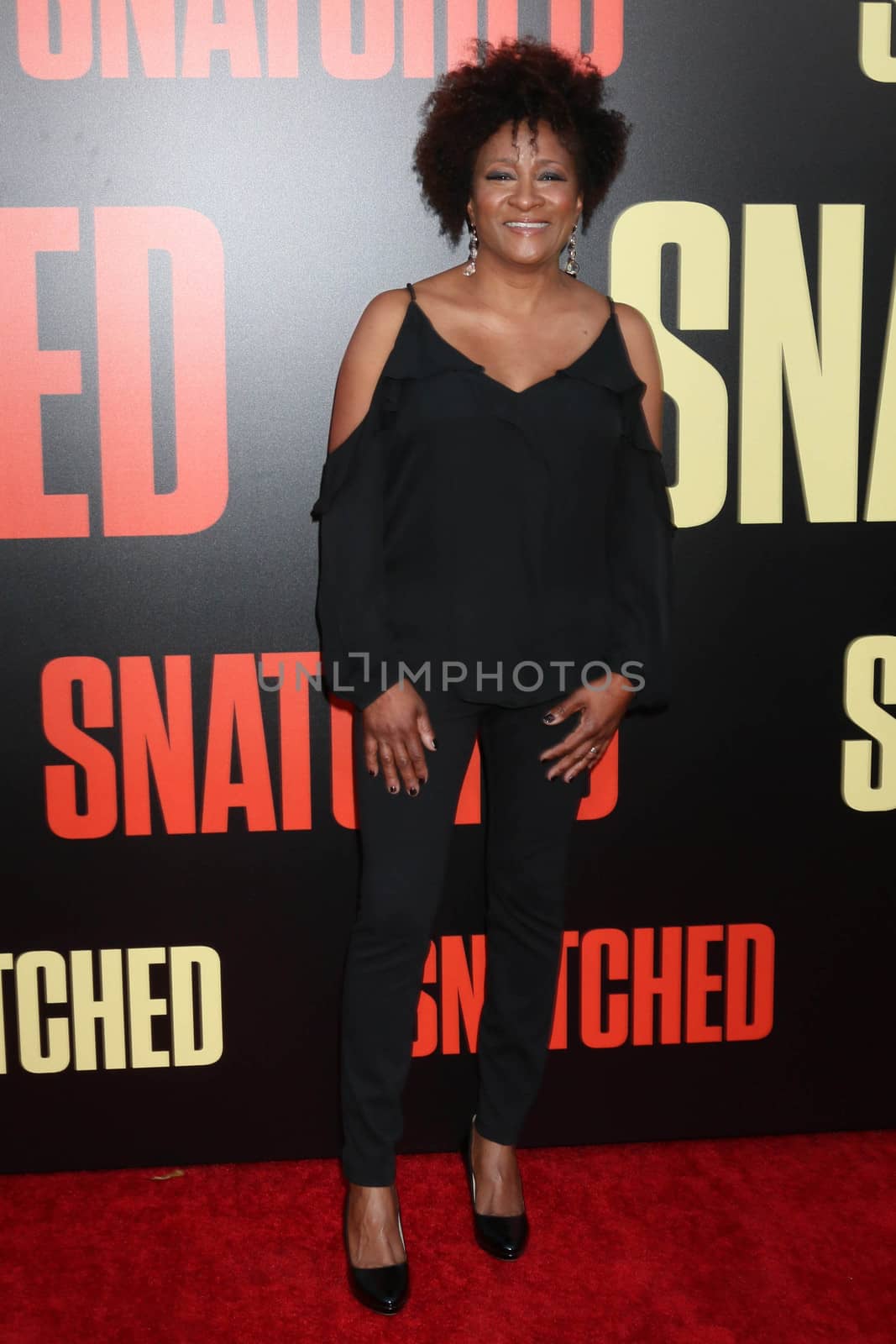 Wanda Sykes at the "Snatched" World Premiere, Village Theater, Westwood, CA 05-10-17