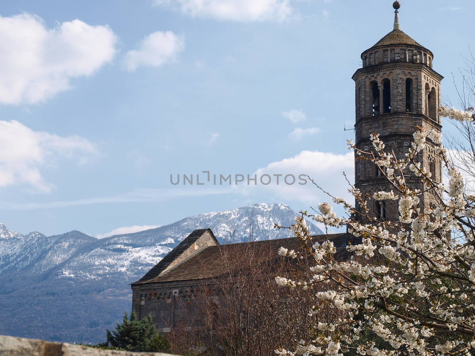 Gravedona, Santa Maria del Tiglio by mauro_piccardi